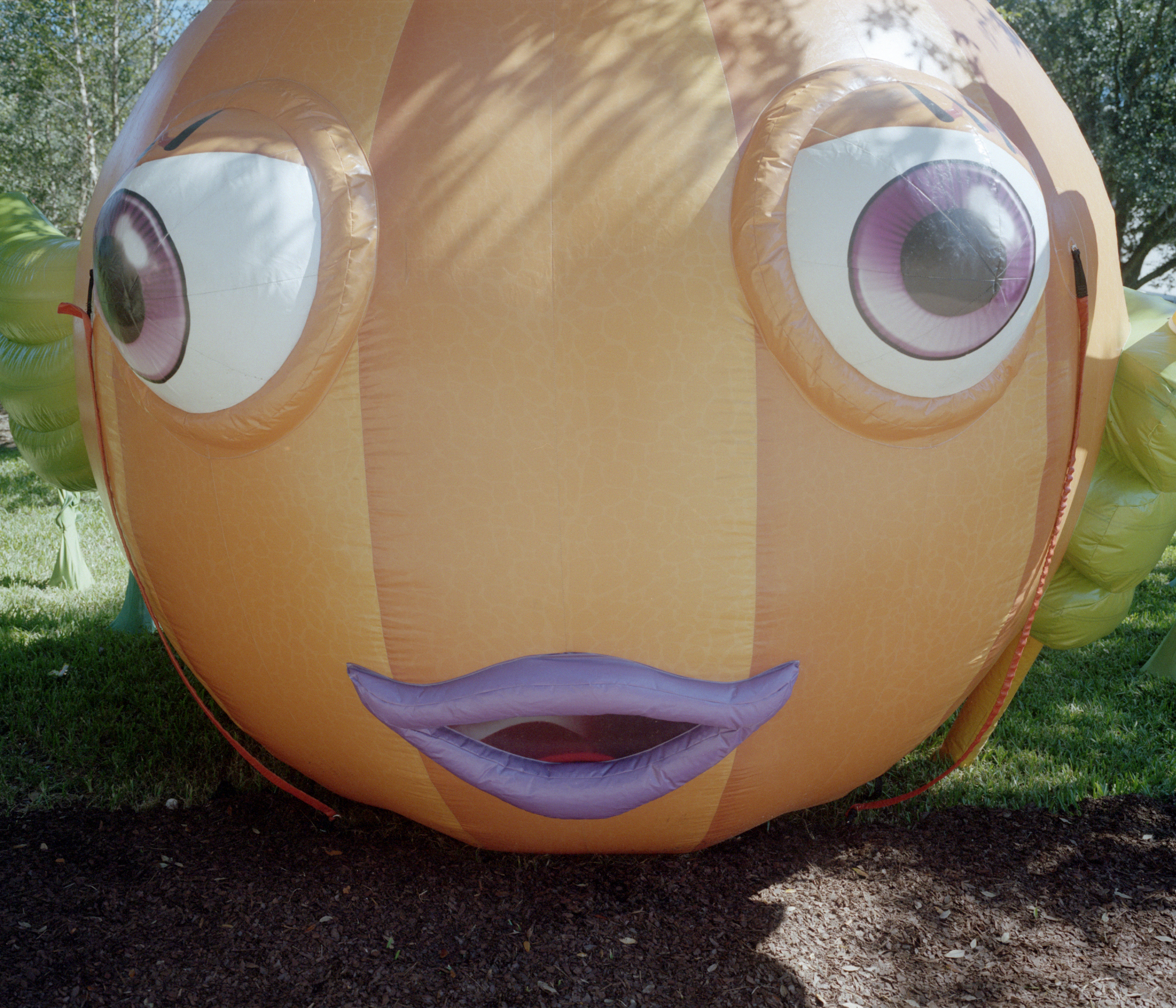 003-seaworld.jpg