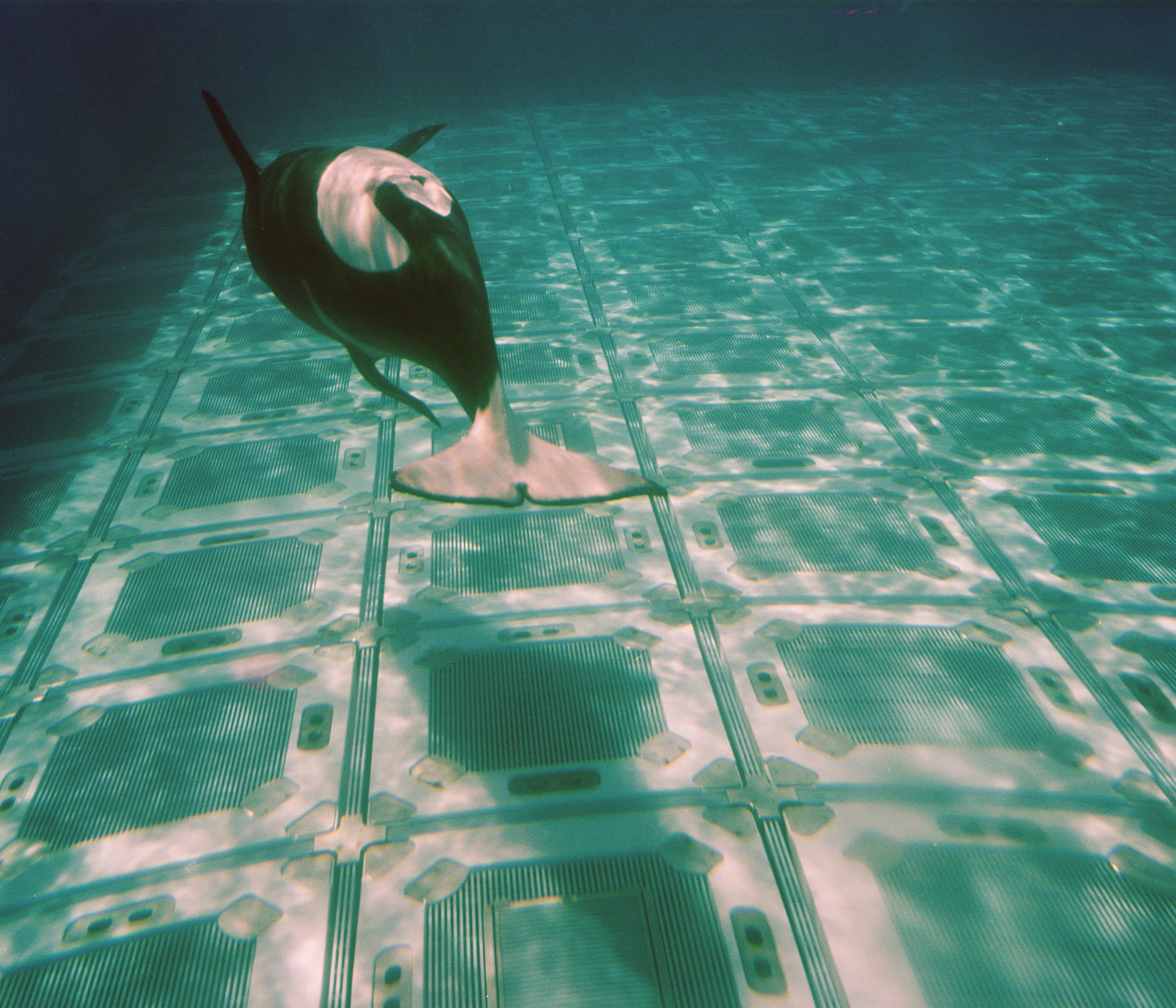 SeaWorld02.jpg