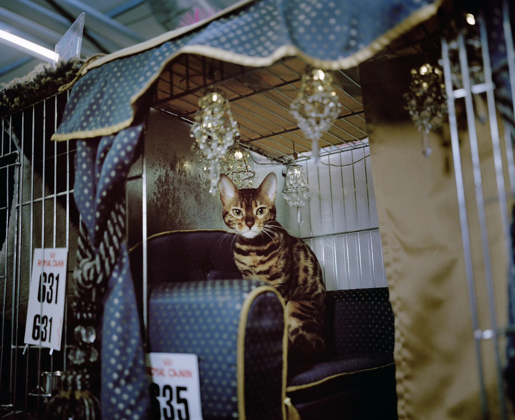 KattPeople05.jpg
