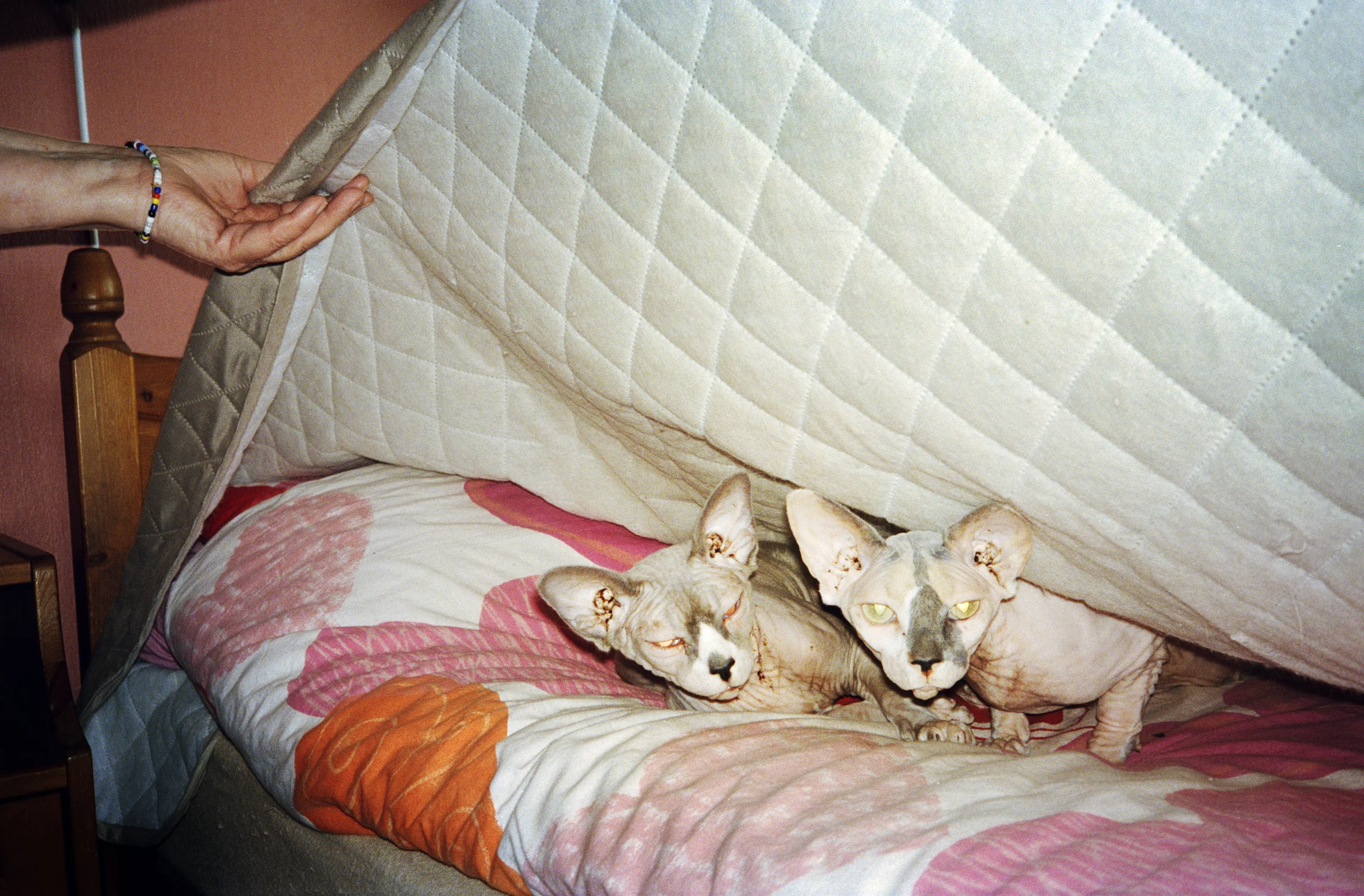 Katt_People05.jpg