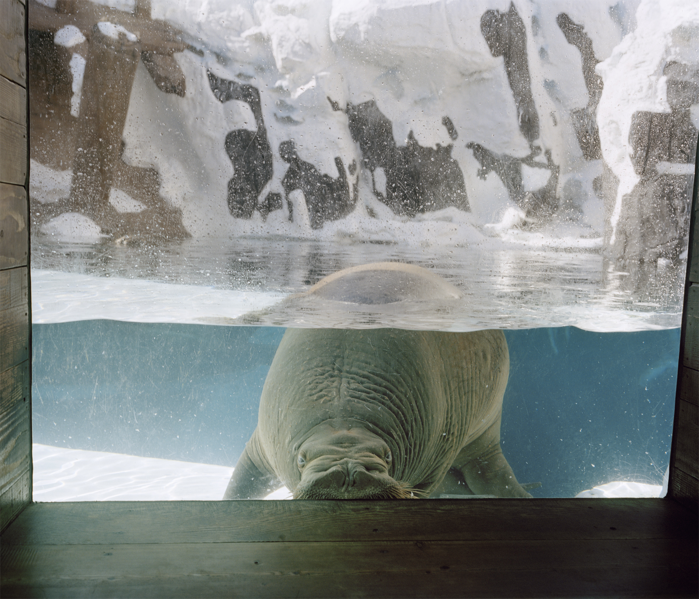 Seaworld2.jpg