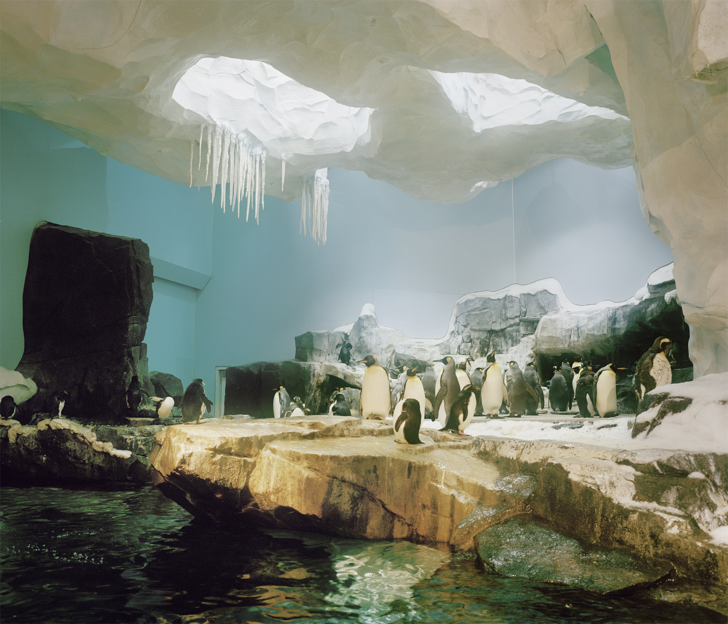 Seaworld1.jpg
