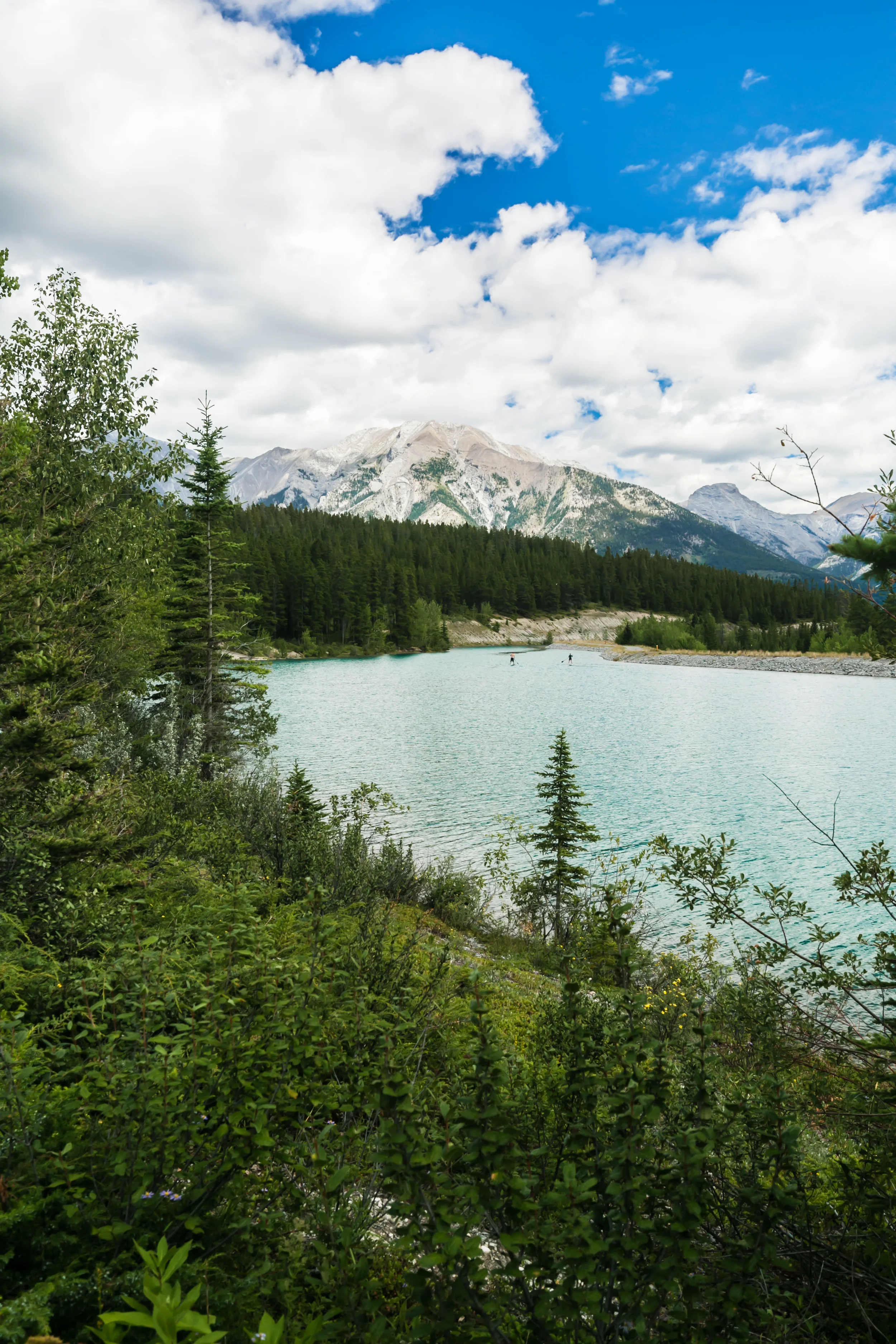 Rundle Canal