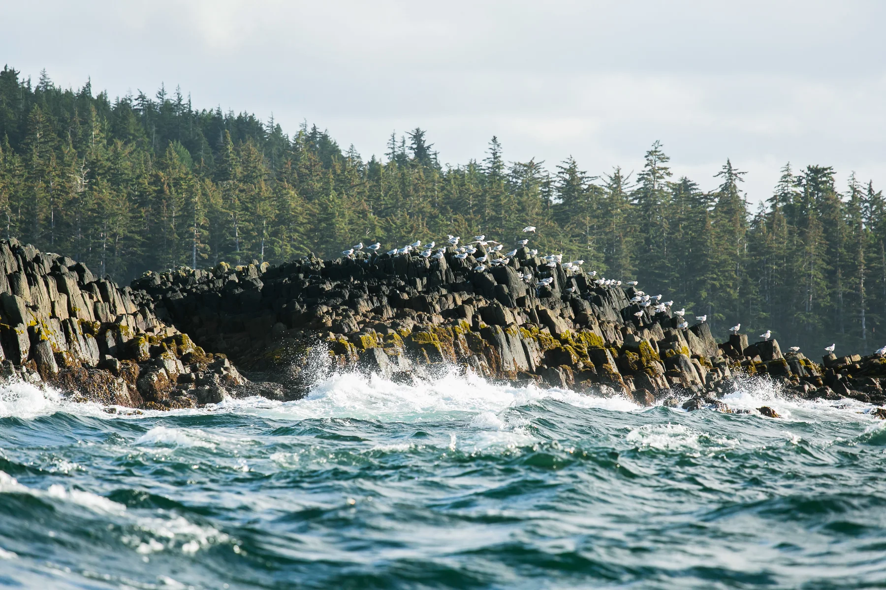 IMG_2088-Edit (1)-2.jpg