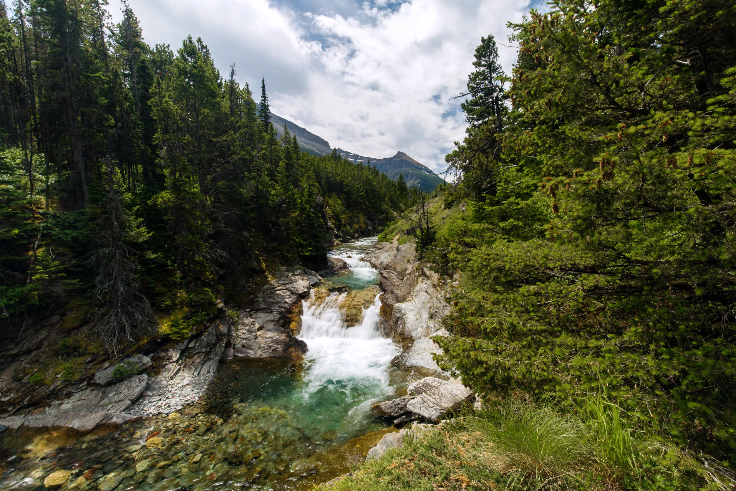 IMG_7303-Edit.jpg