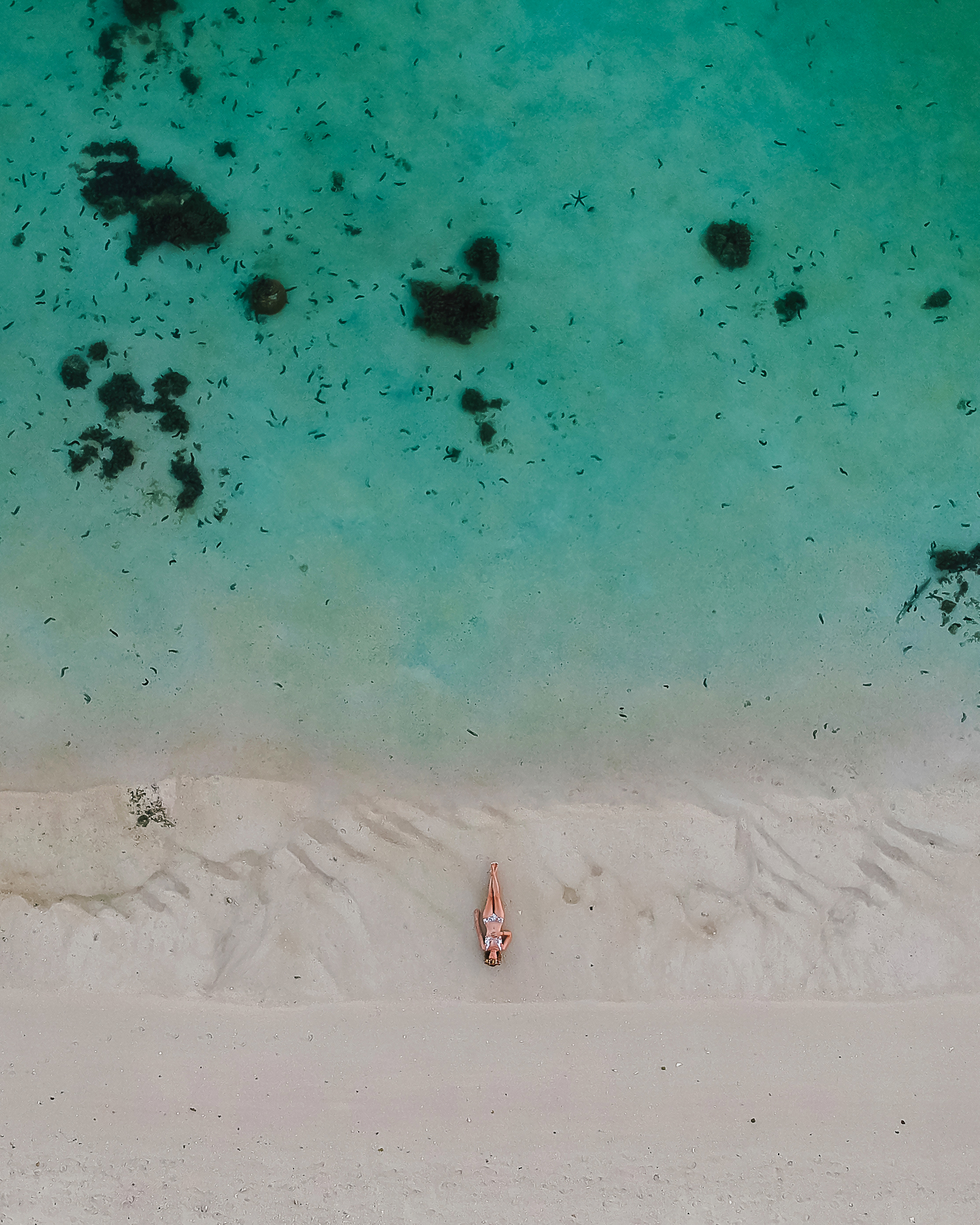 AshleyDrodyPhotography-CookIslandsTourism-05-2.jpg