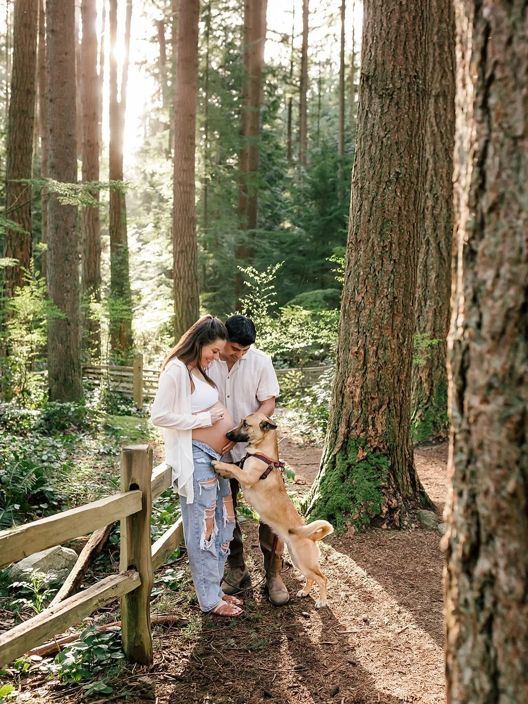 L+W and their sweet pup before baby joins them! πΆπ€
.
.
#maternityphotography #vancouvermaternity #yvrfamily #vancouverphotographer #familyphotos #beautifulBC