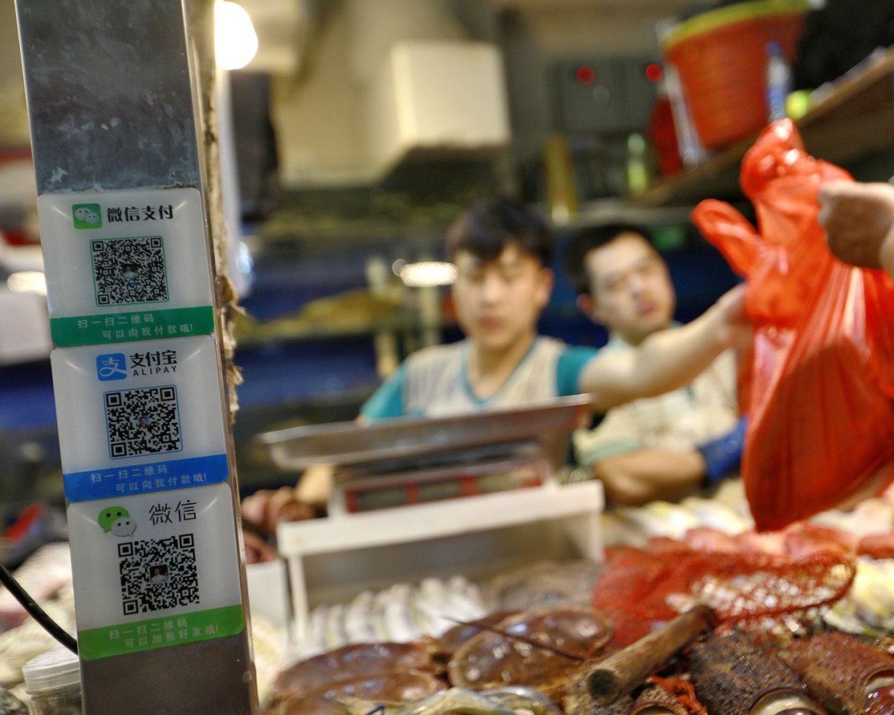 QR codes for mobile payments via Wechat and Alipay are seen on a seafood stall in a market in Beijing, China, 09 August 2017. Image Source: nationmultimedia.com