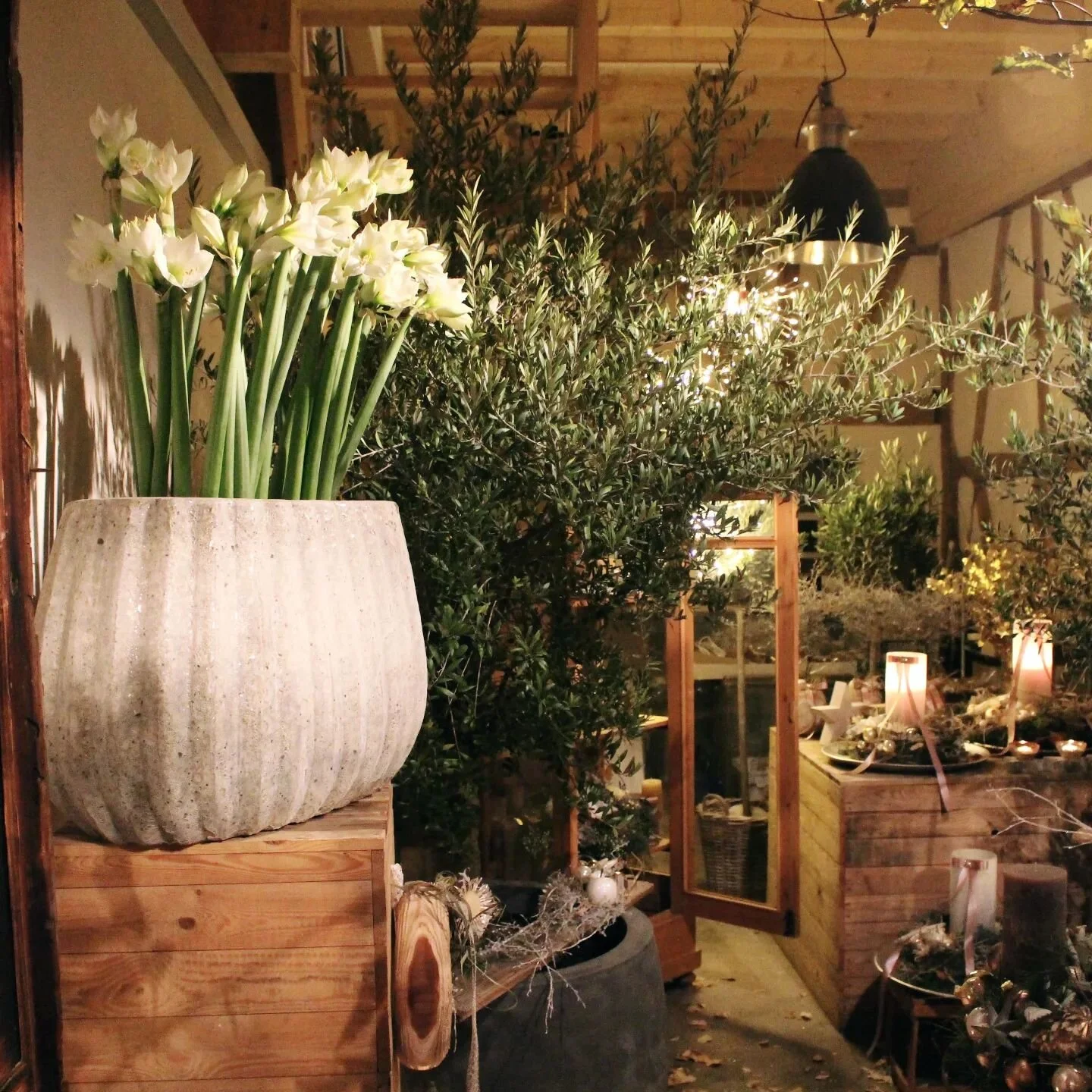 M E M O R Y 

#adventszeit #adventsausstellung #weihnachtszeit