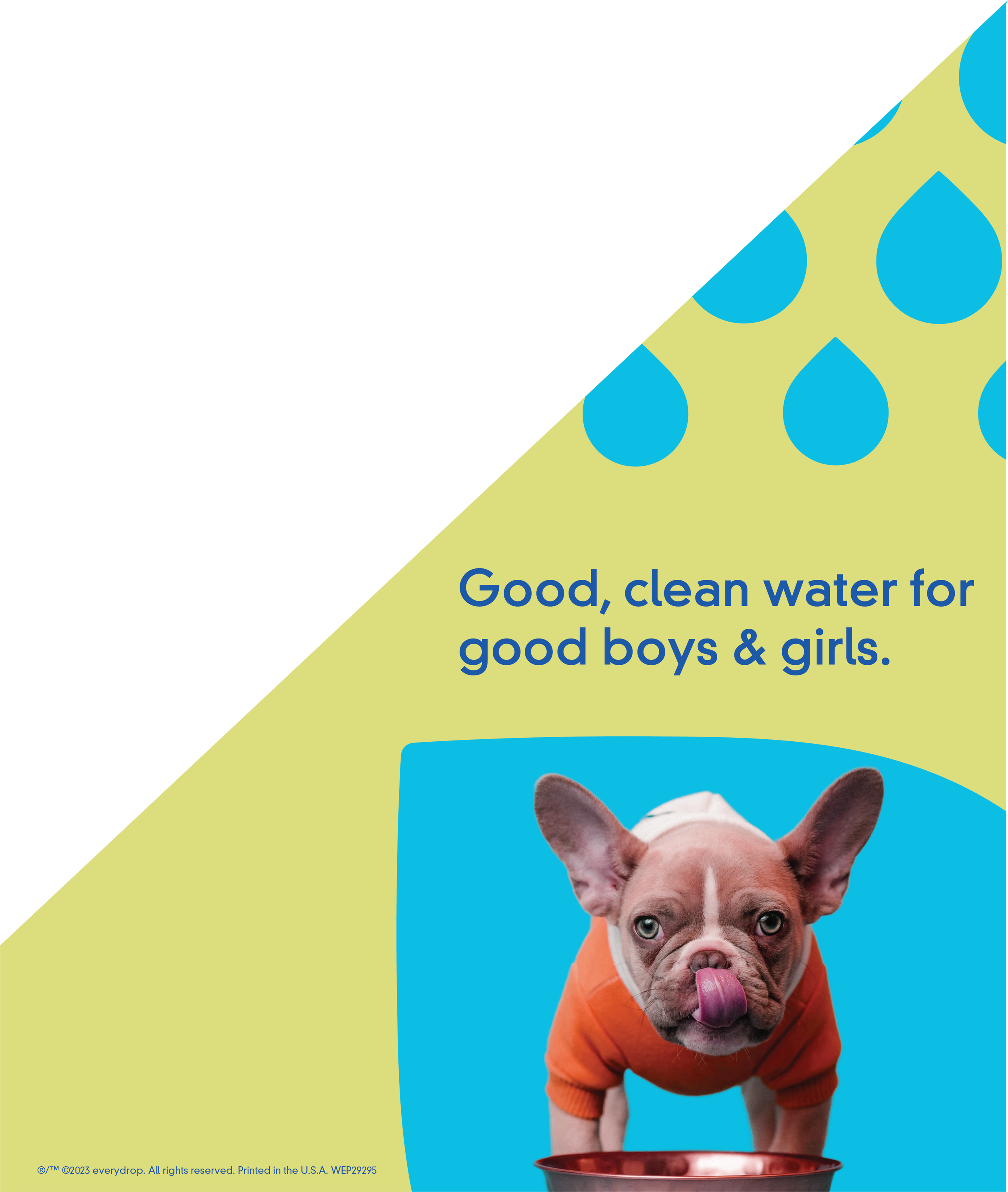 display2-alt2-pupper.png
