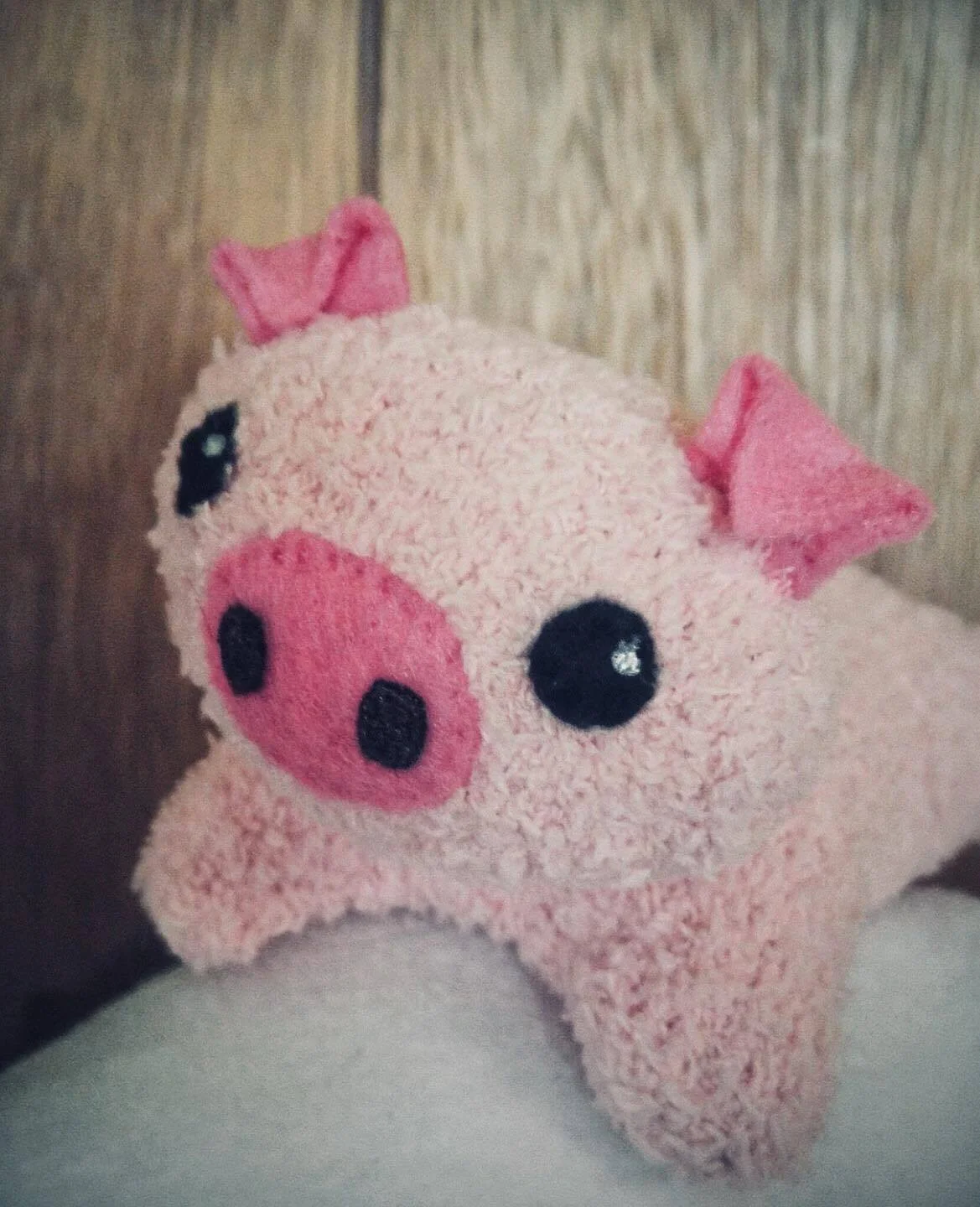 cute pig.jpg