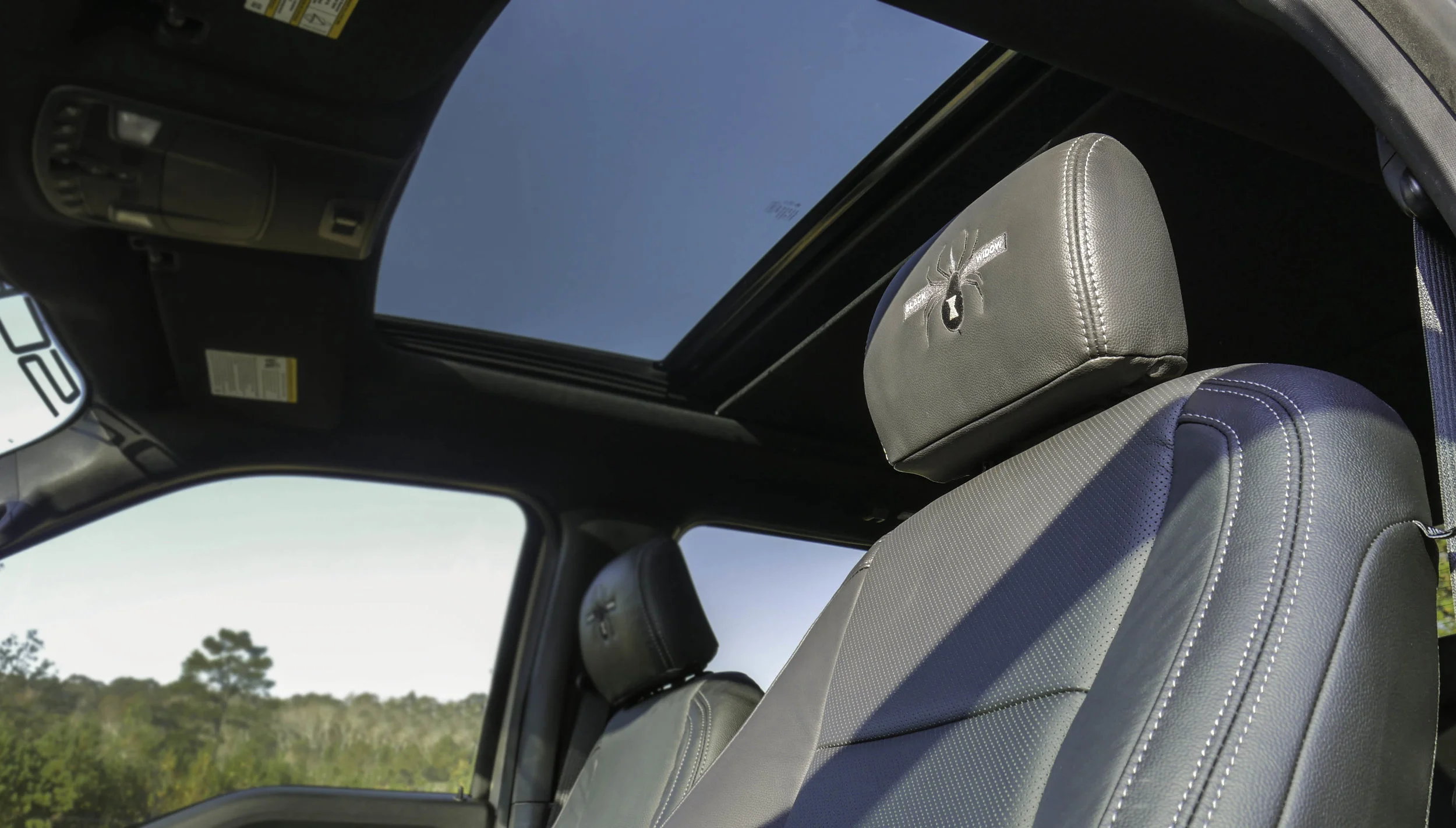 Ford AFBW Headrests.jpg