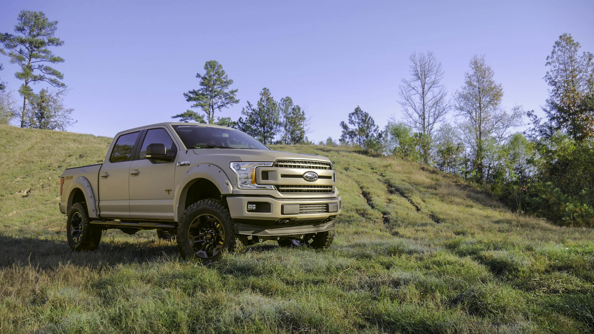 Ford F150 AFBW Front Qtr.jpg