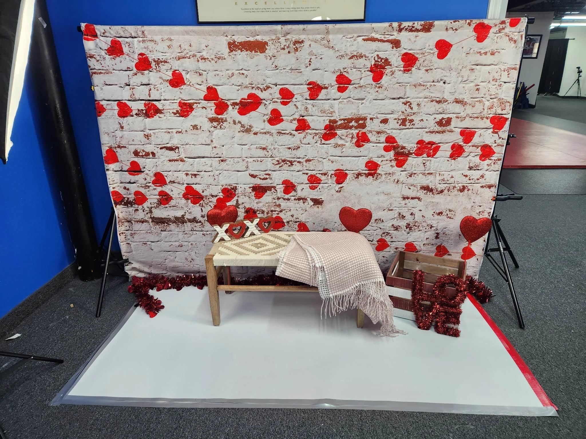 Natick Massachusetts Valentine Mini Studio Set up.jpg