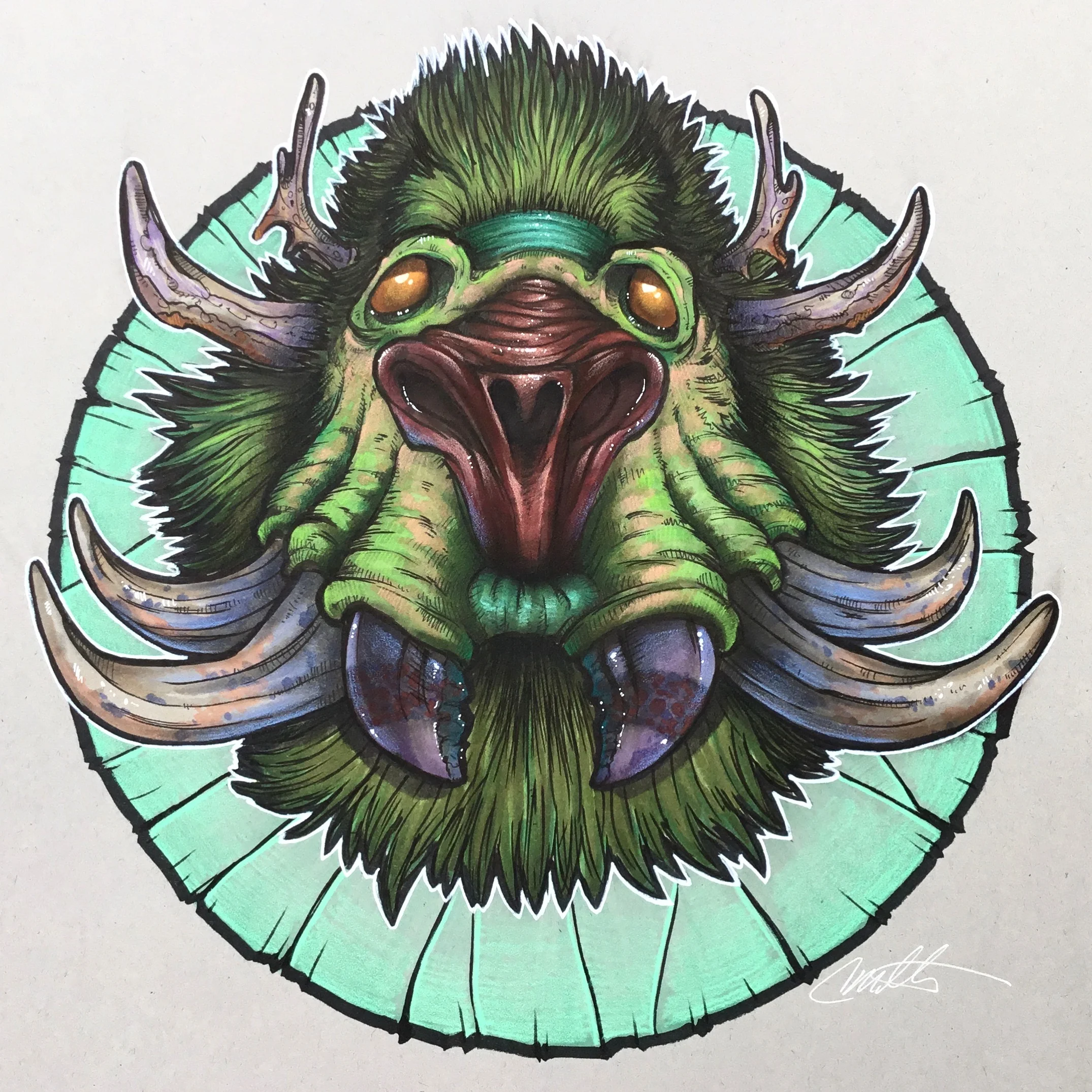 The DerBoar
