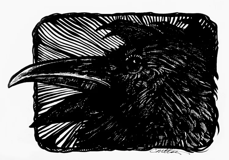 Screech by Clinton Millsap.jpg
