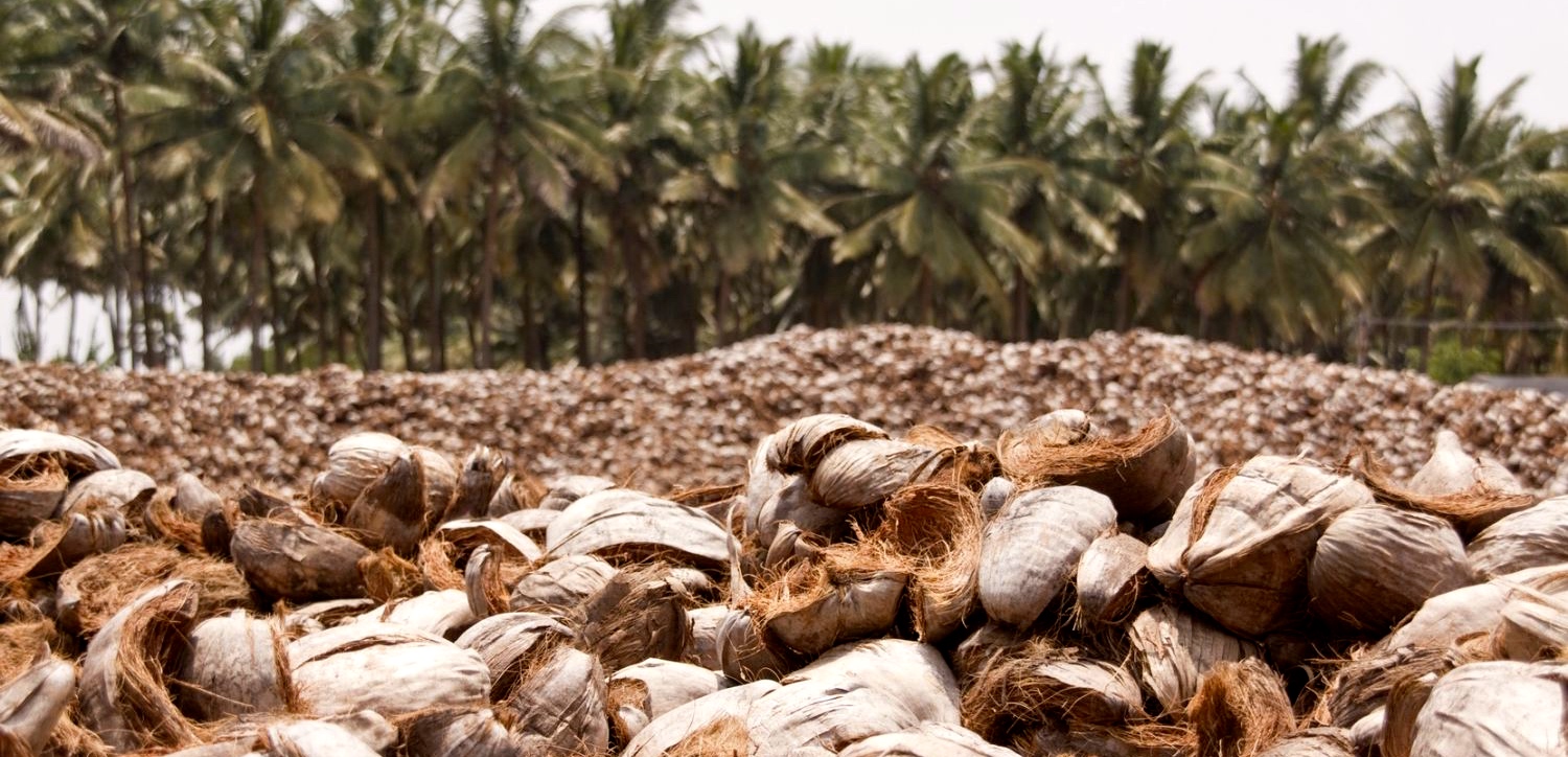 Coconut waste is the raw material for Dutch Plantin in Coimbatore (Photo: Dutch Plantin)