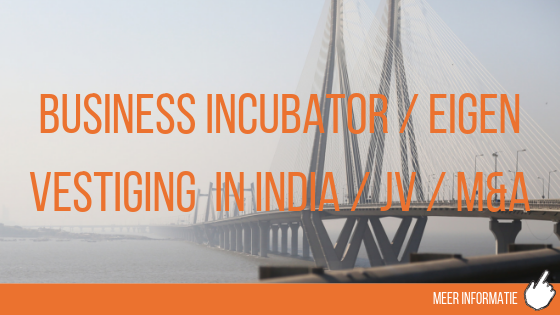 Business incubator, own branch in India, joint venture, m&a