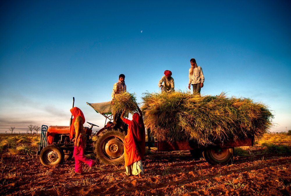 Indisk landbrugssektor ønsker at innovere