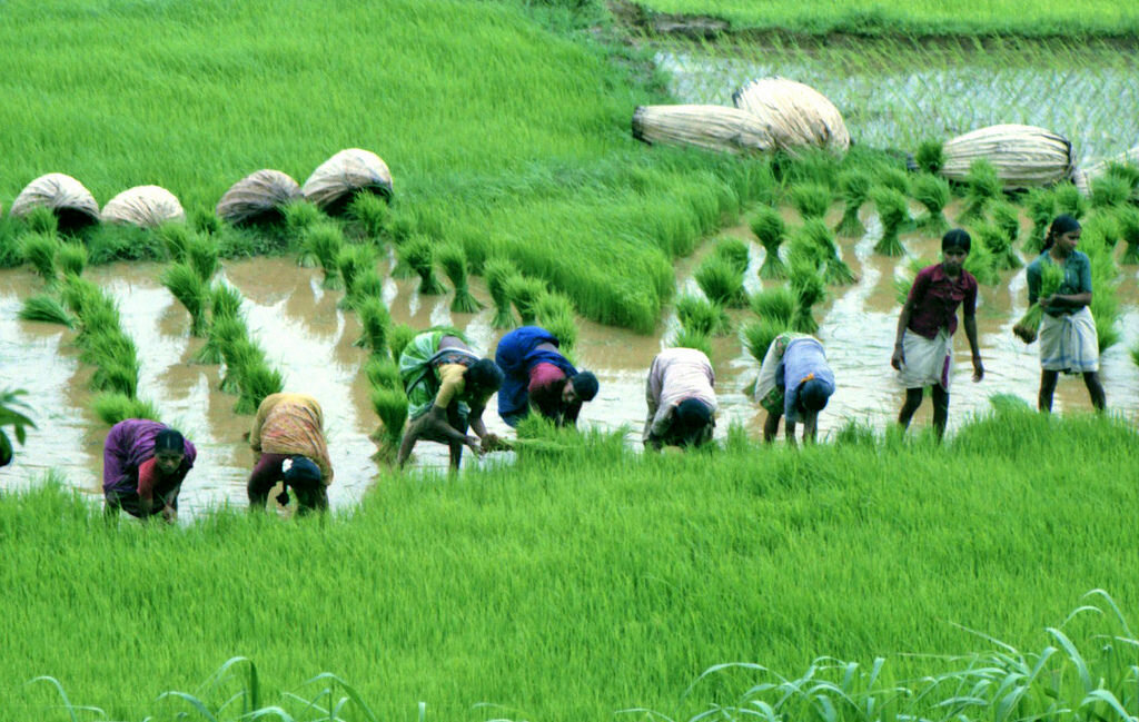 India seeks irrigation technology