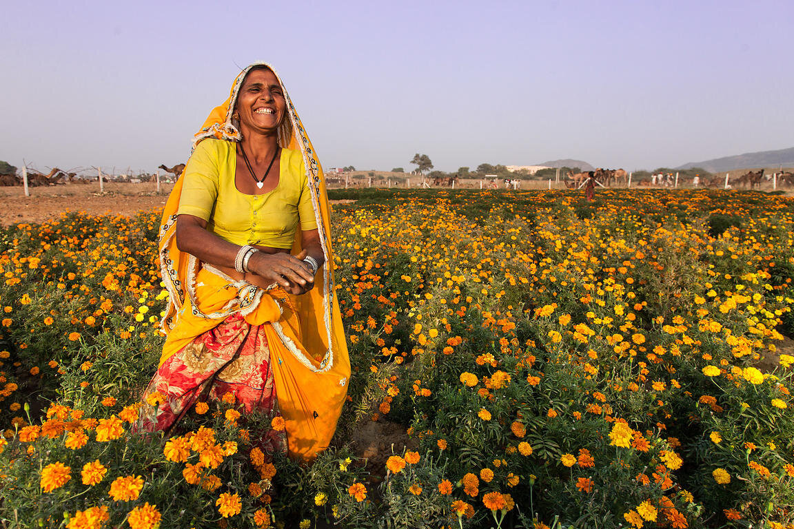 Blomsteravl i Indien