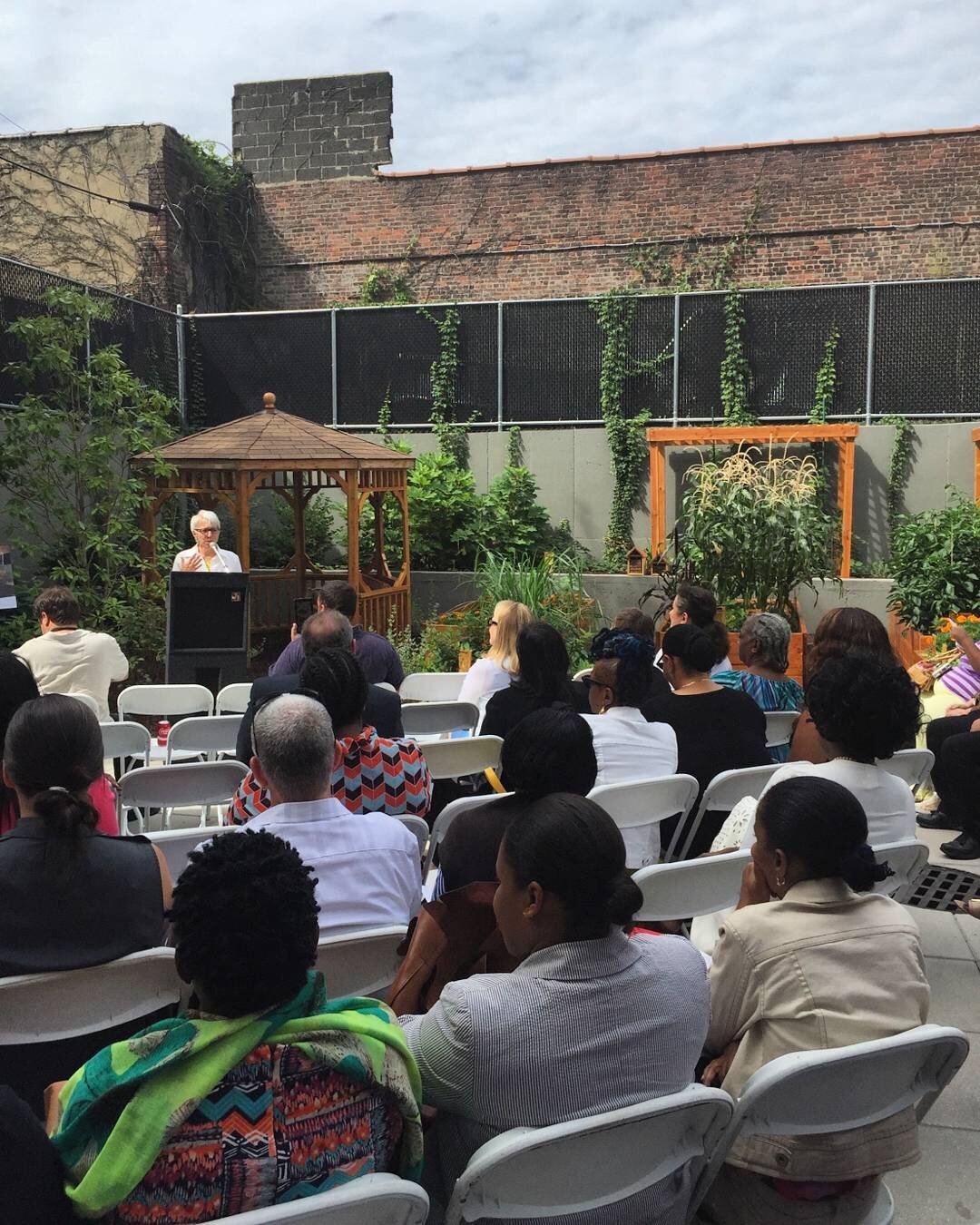 Happening now at 3361 Third Ave! Guests are enjoying a delicious harvest luncheon hosted by @sus_org. All food has been prepared by SUS participants and plucked straight from SUS urban farms including the garden at 3361 Third Ave! #SUS #developmental