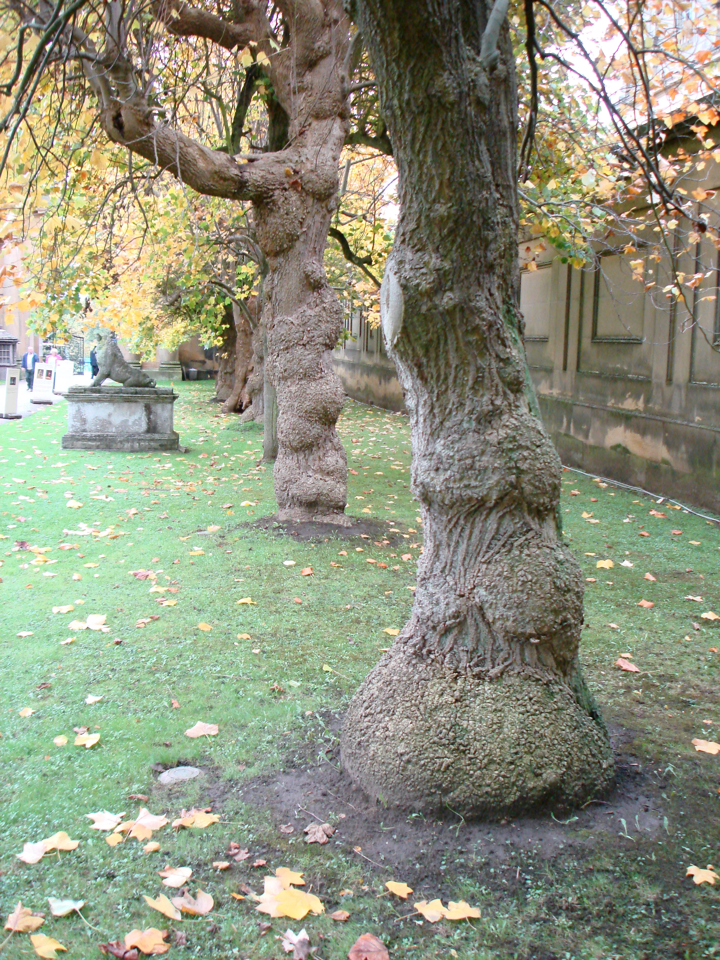 J2448x3264-05803.jpg