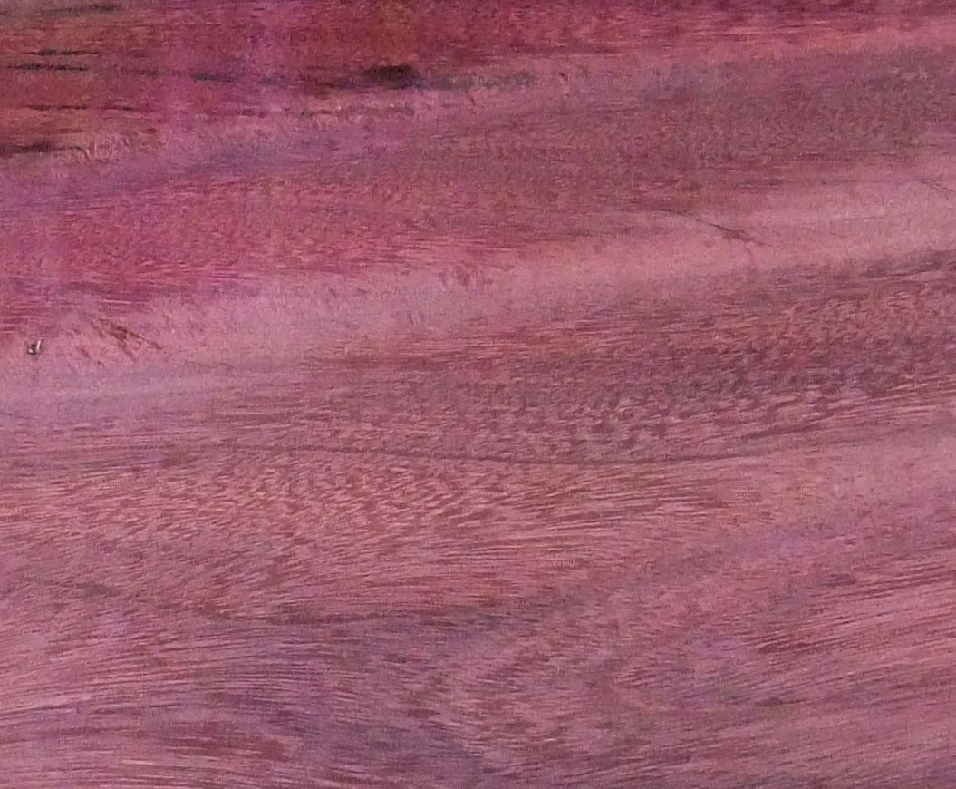 PURPLEHEART667.JPG