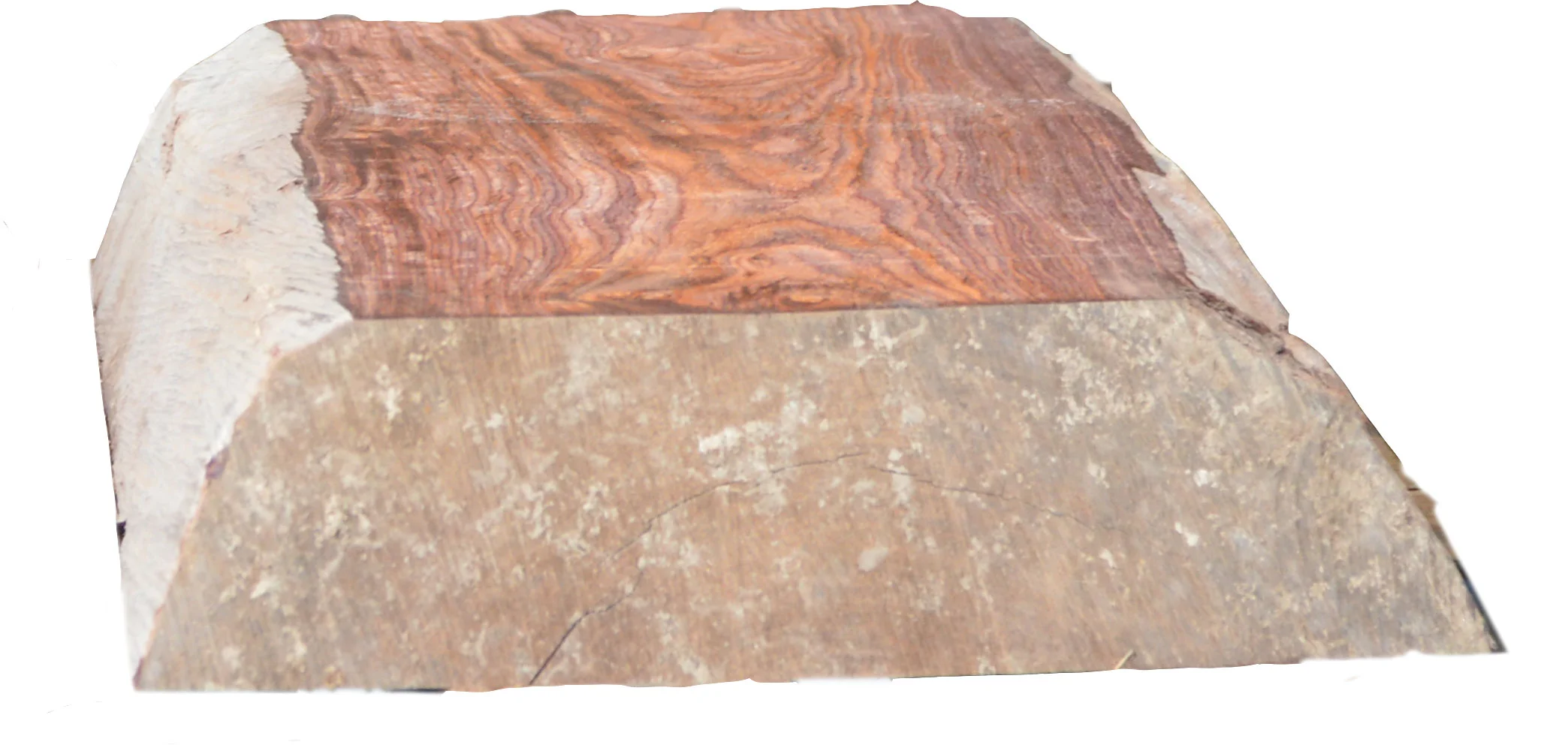 cocobolo_cants1.jpg