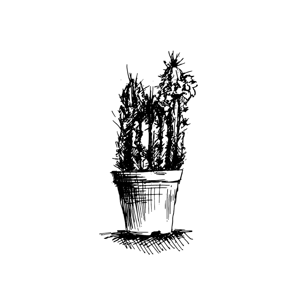 IMG_2564.PNG