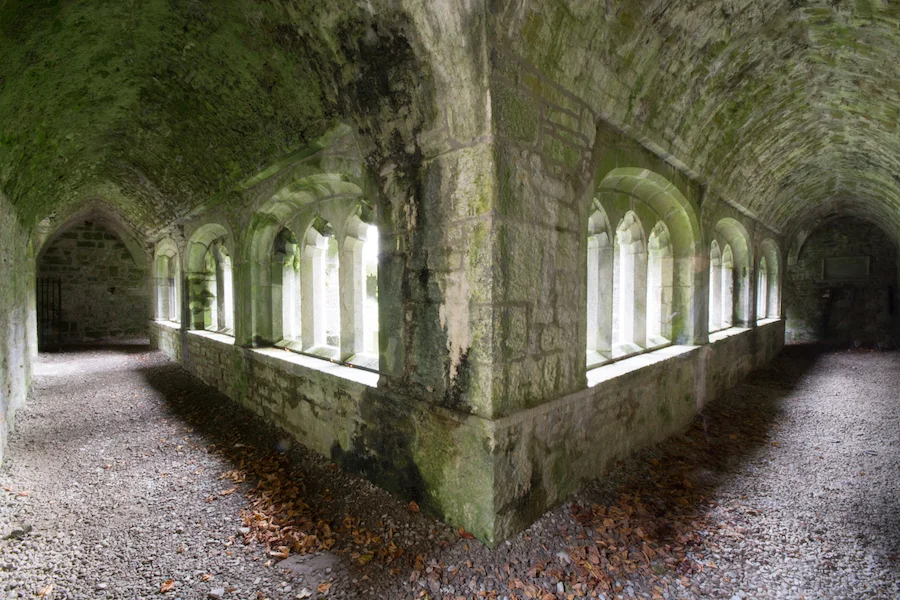 Cloisters WideAngle JHolmes.jpg
