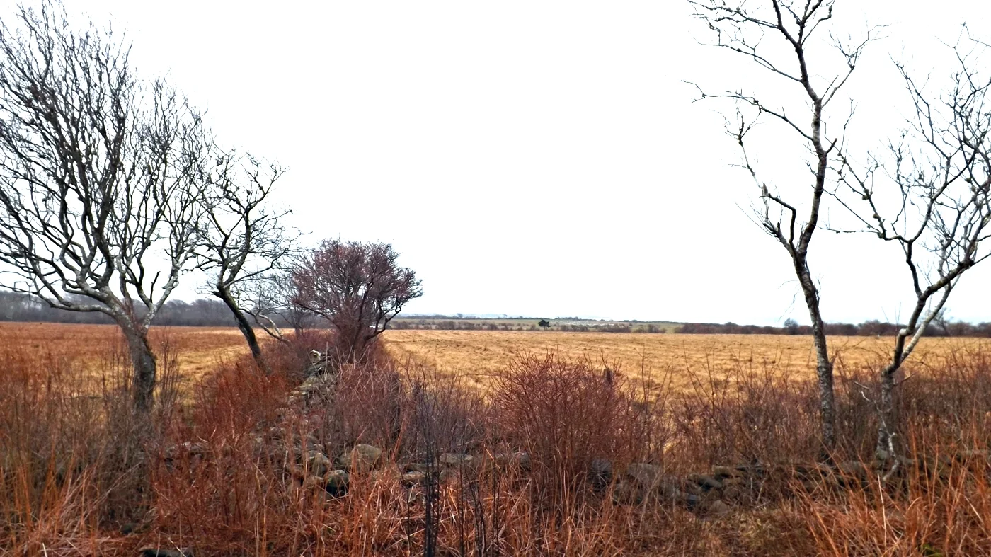 Conservation — Keystone Consulting Group