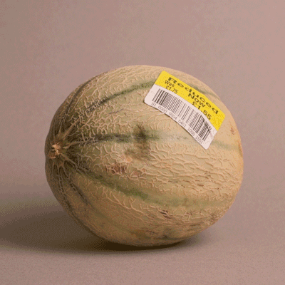 melon.gif