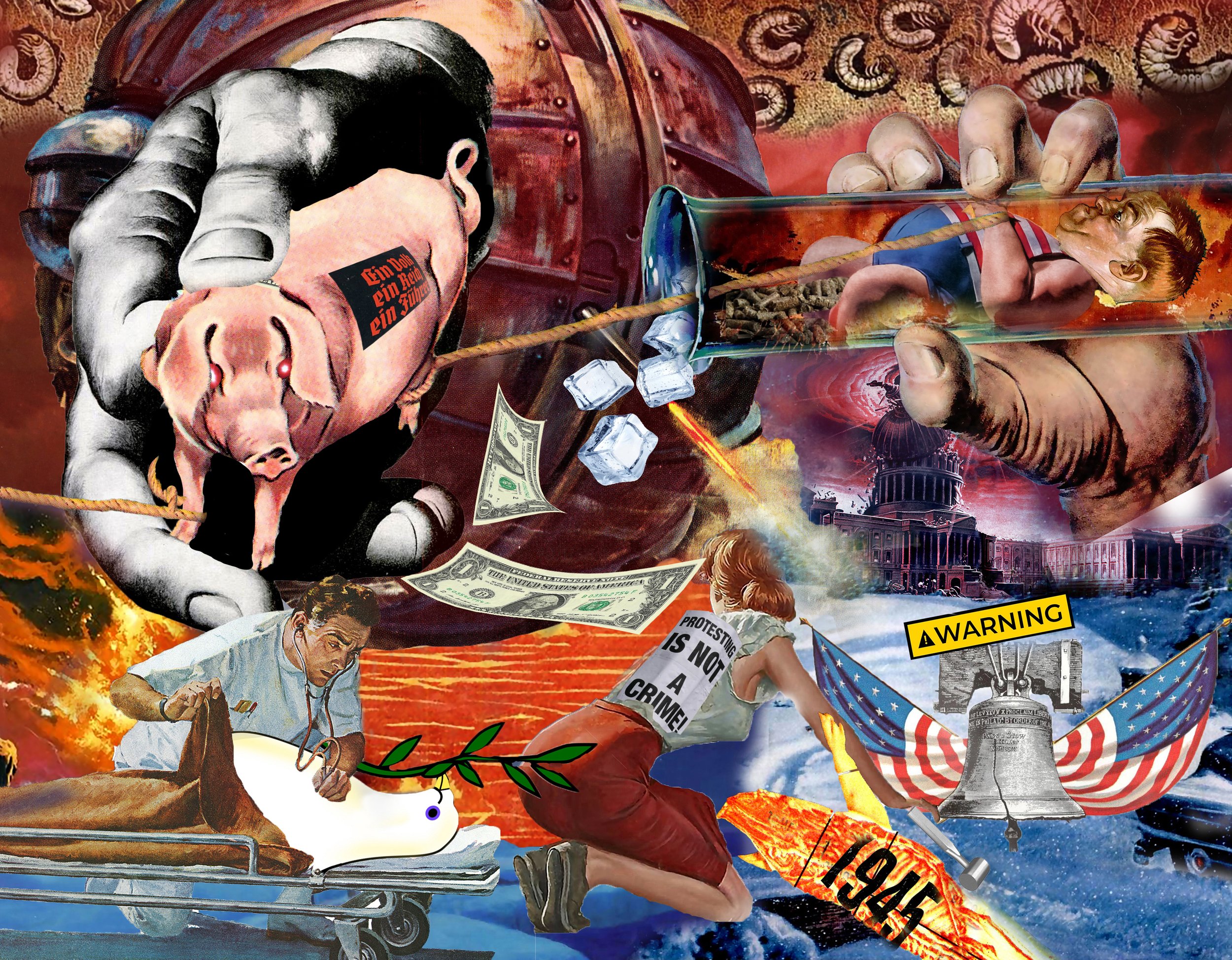 Introducing Farm Animals