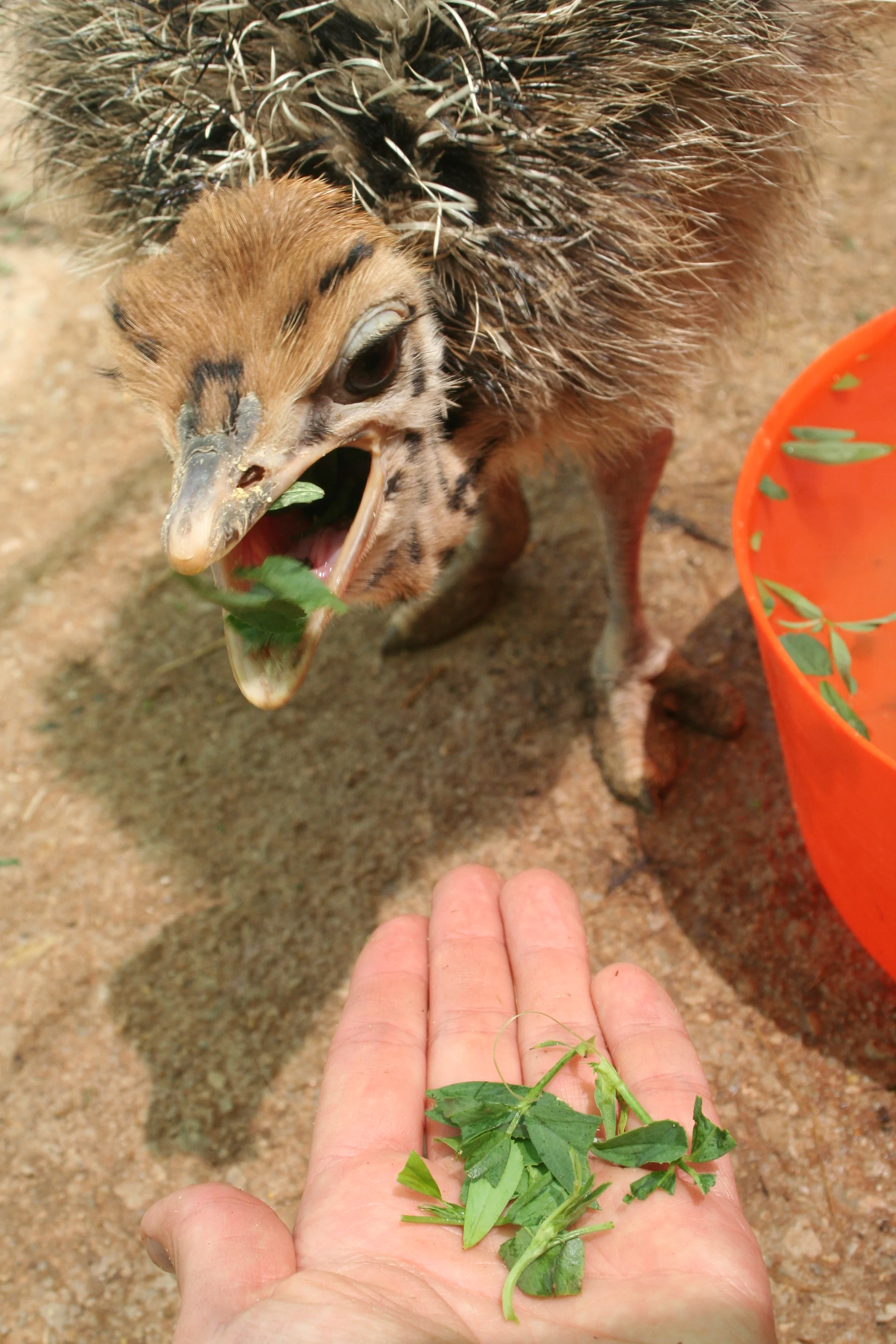 Från att vara rädd till att våga