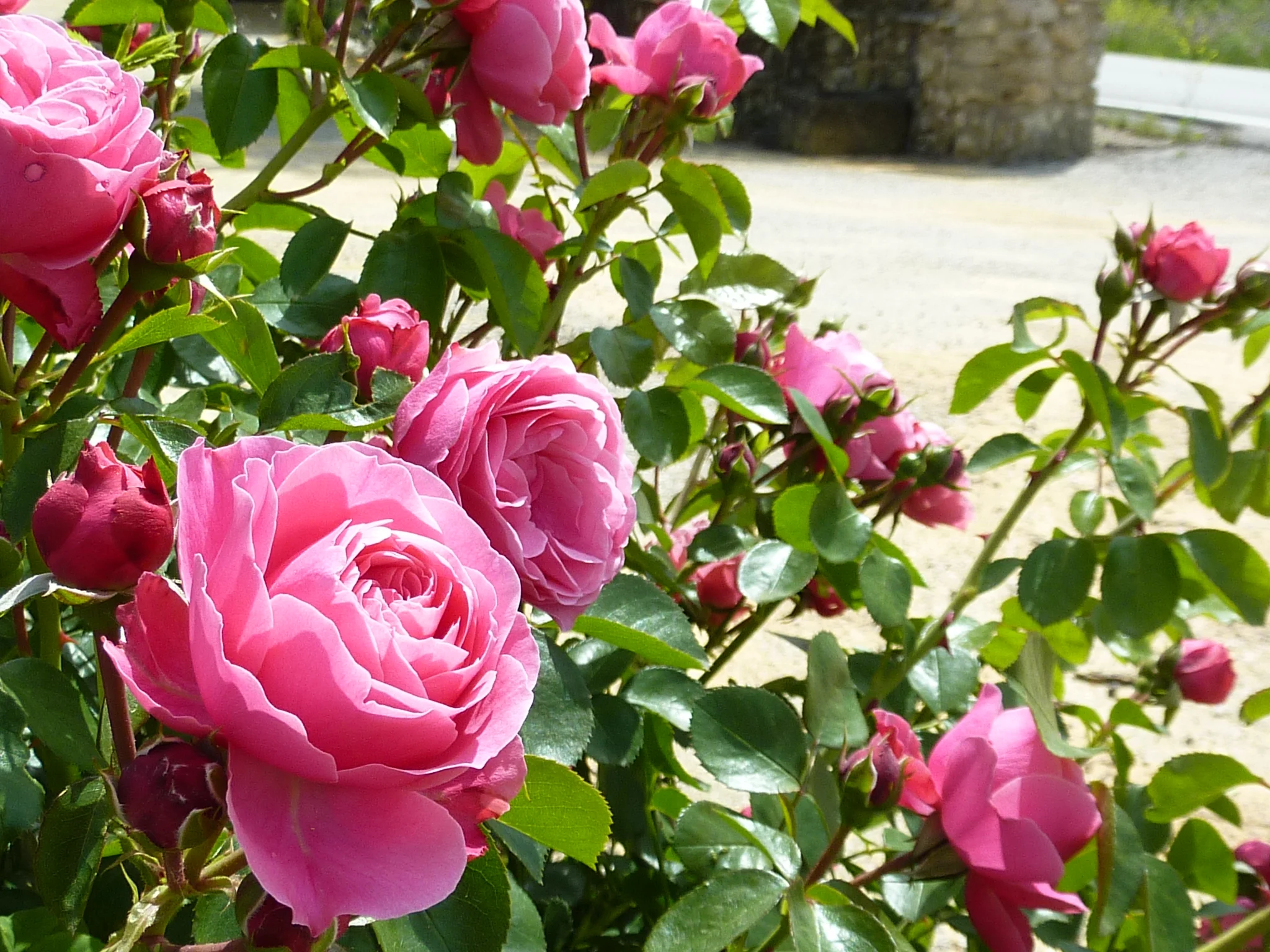 4 vårtecken i Barcelona