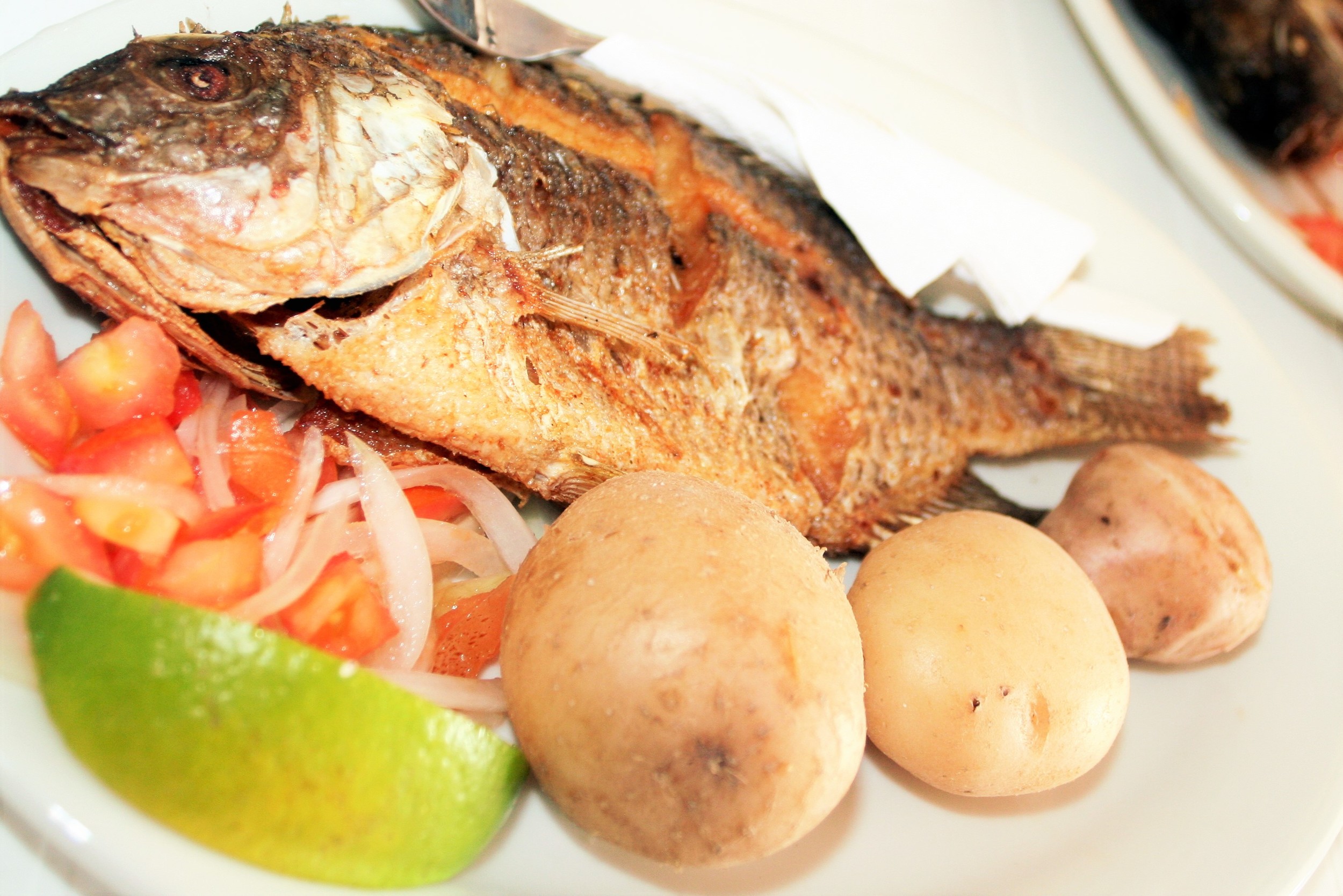 Sött, salt och skalbaggar i Ecuador