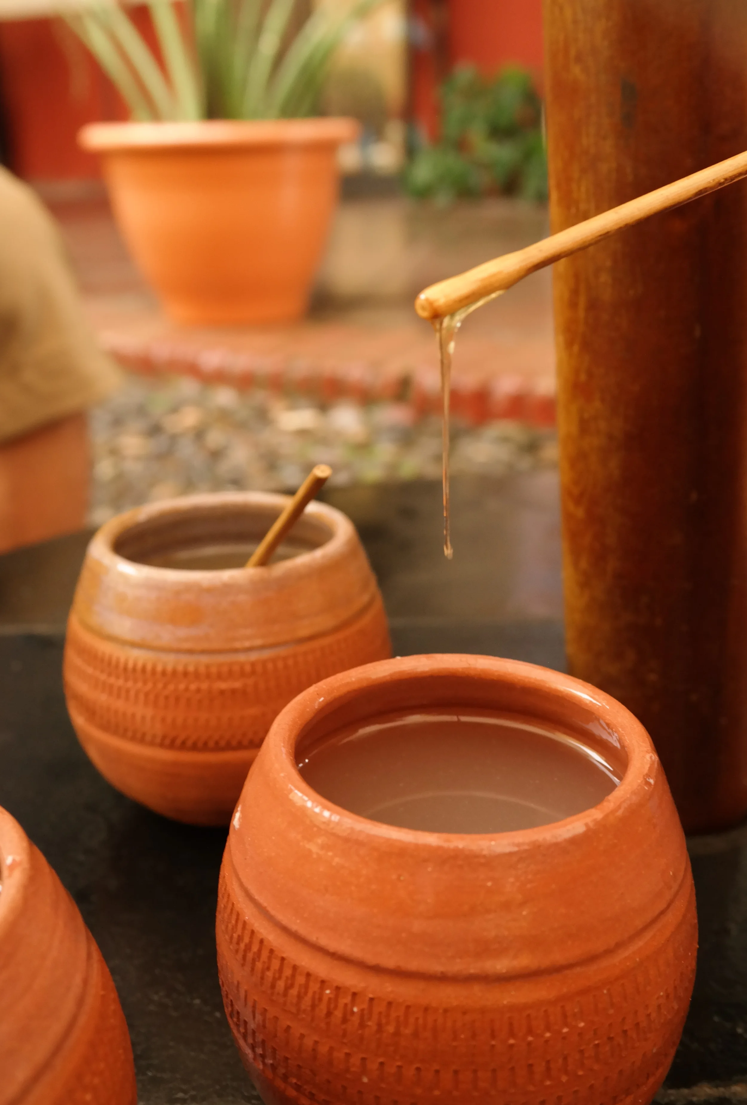 Kubanska bin lever lyckligast