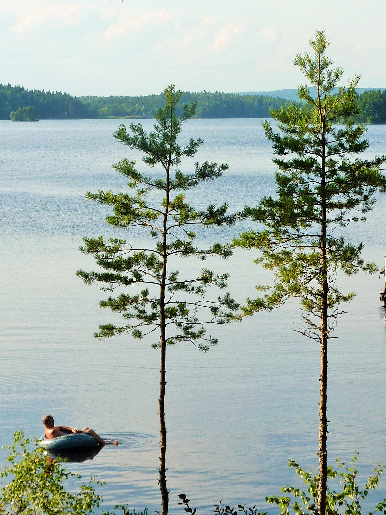 Copy of Summer at Lake Runn, Sweden