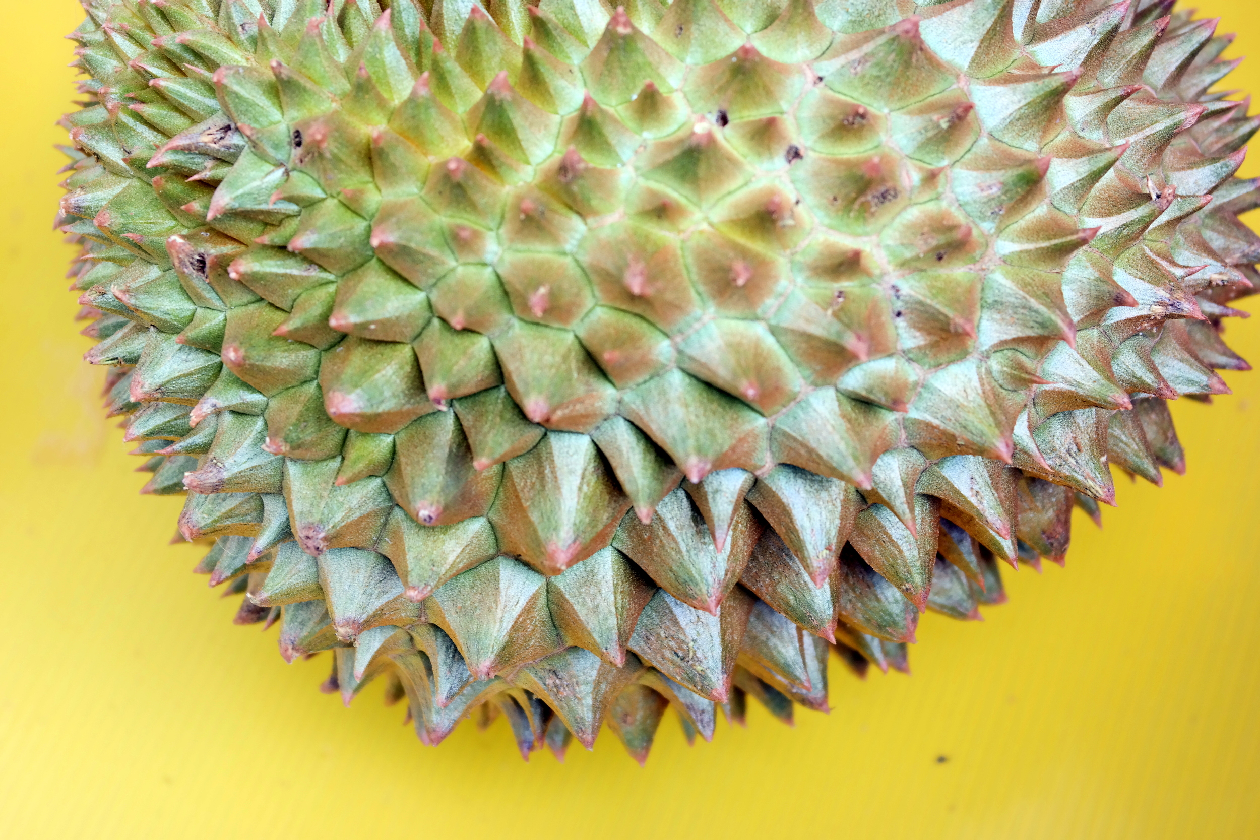 Durian