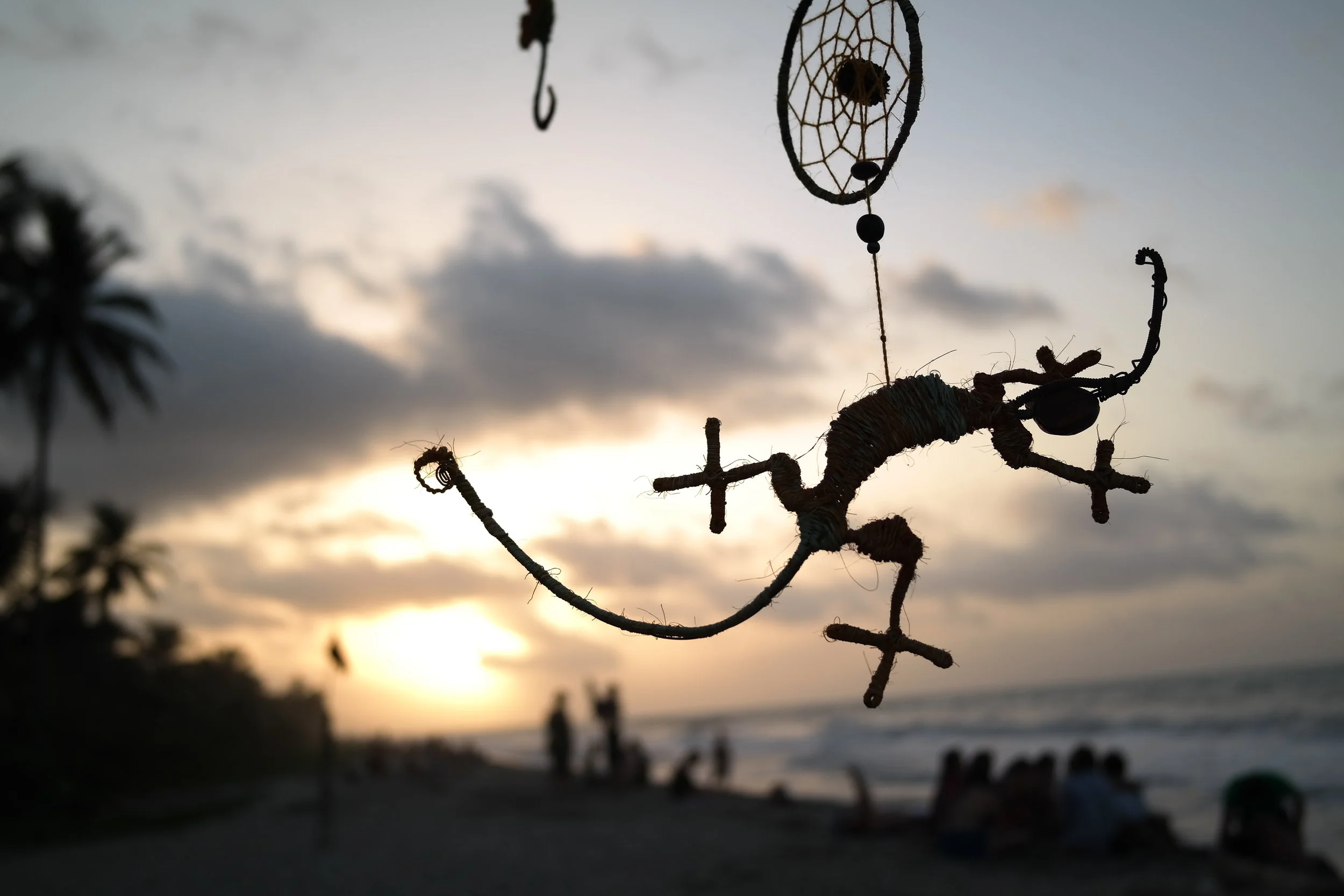 Colombia: En natt i stjärnöknen - del två