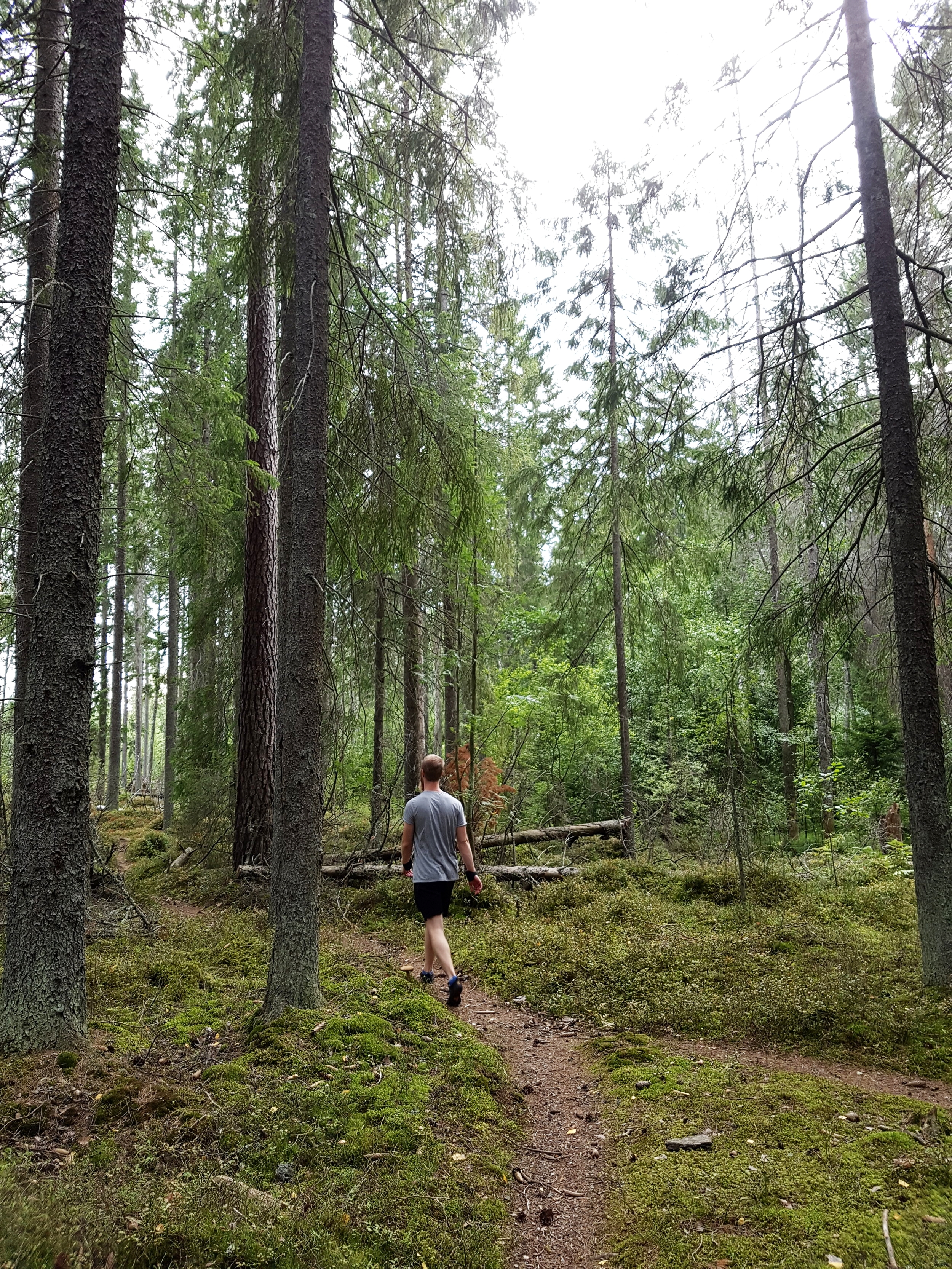 På svampjakt i Bergslagen