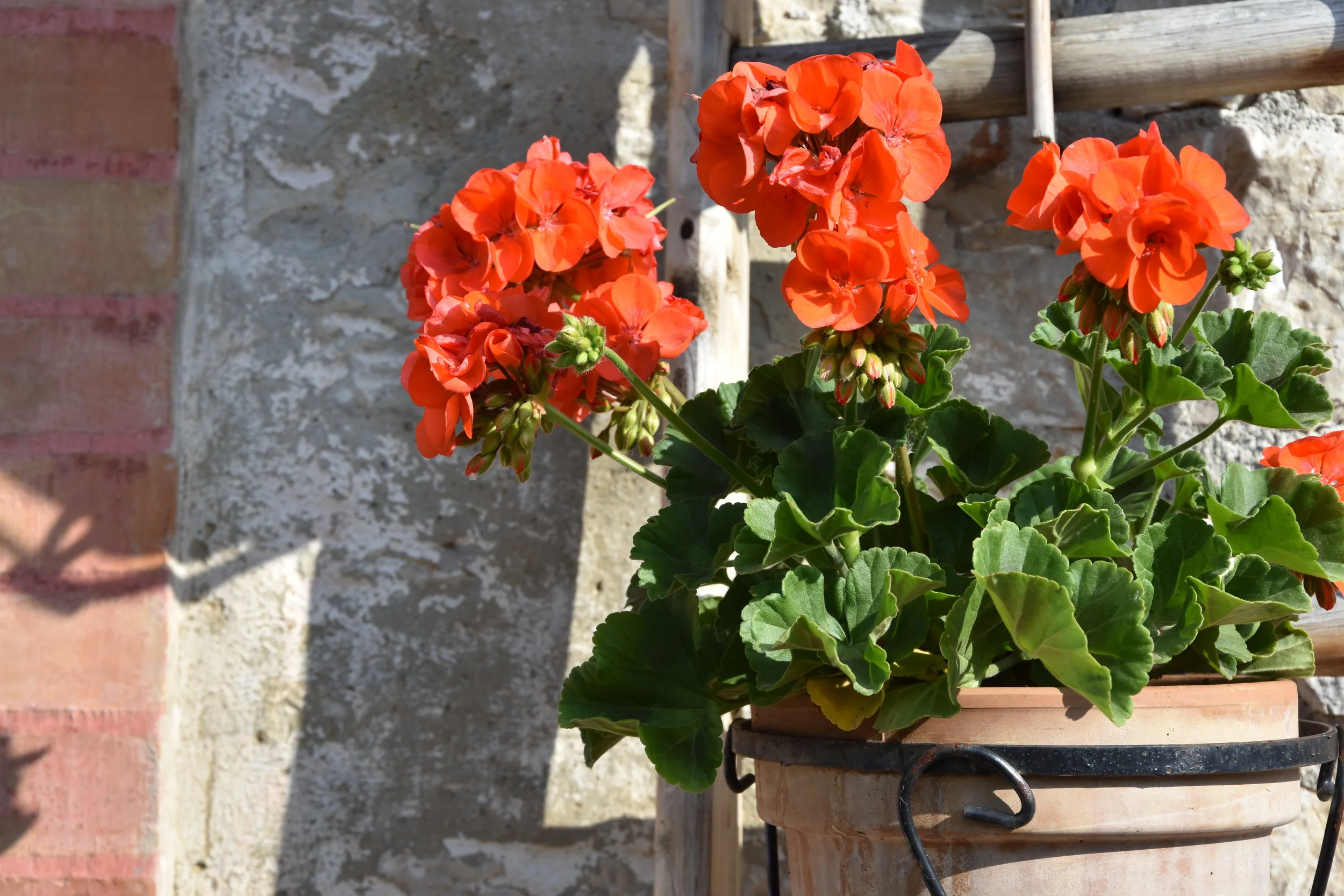 Stora och roliga nyheter på gång!