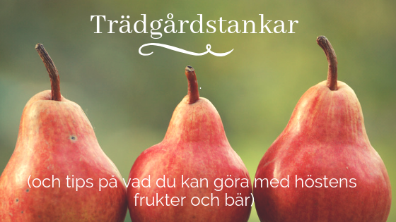 Äppel, päppel, pirum, päron och andra trädgårdstankar