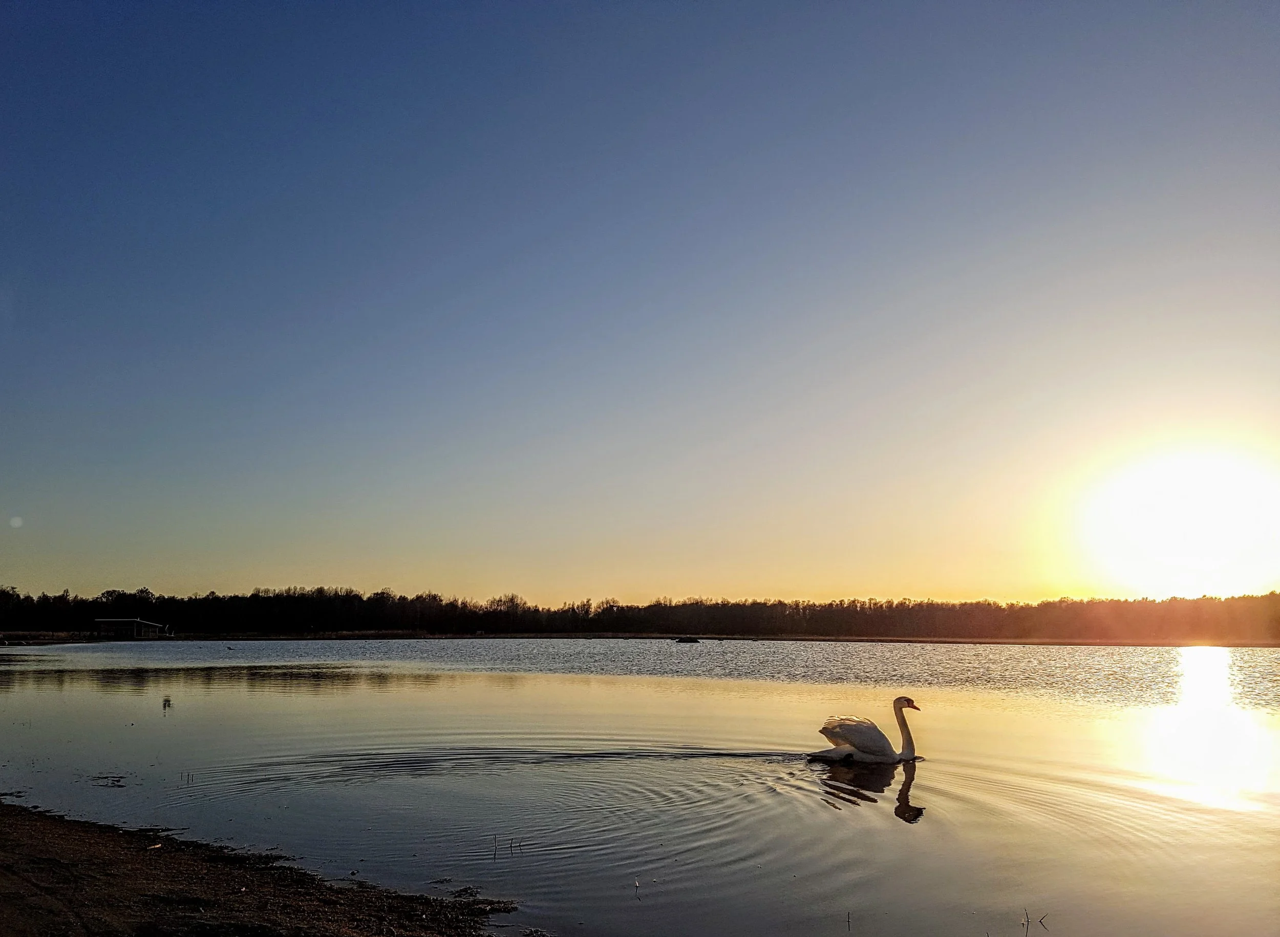 oset-örebro.jpg