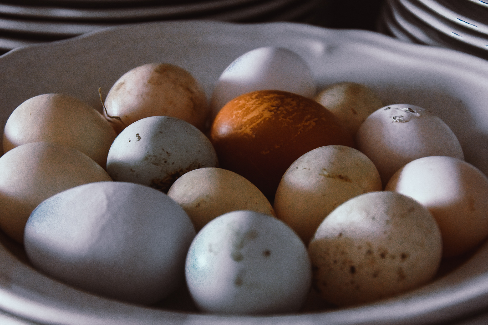 De små äggen kallas prinsessägg och läggs av unga hönor