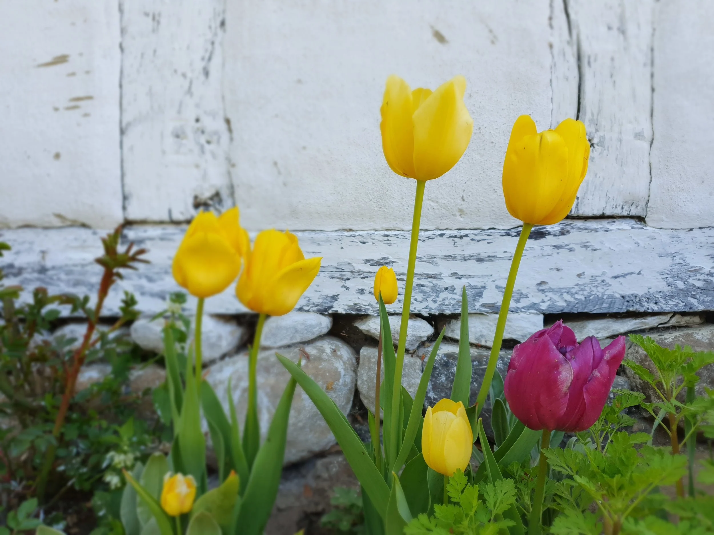kristianstad-skåne-3.jpg