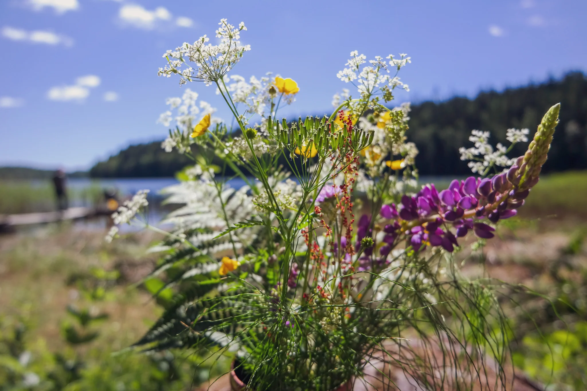 midsommar-sverige.jpg