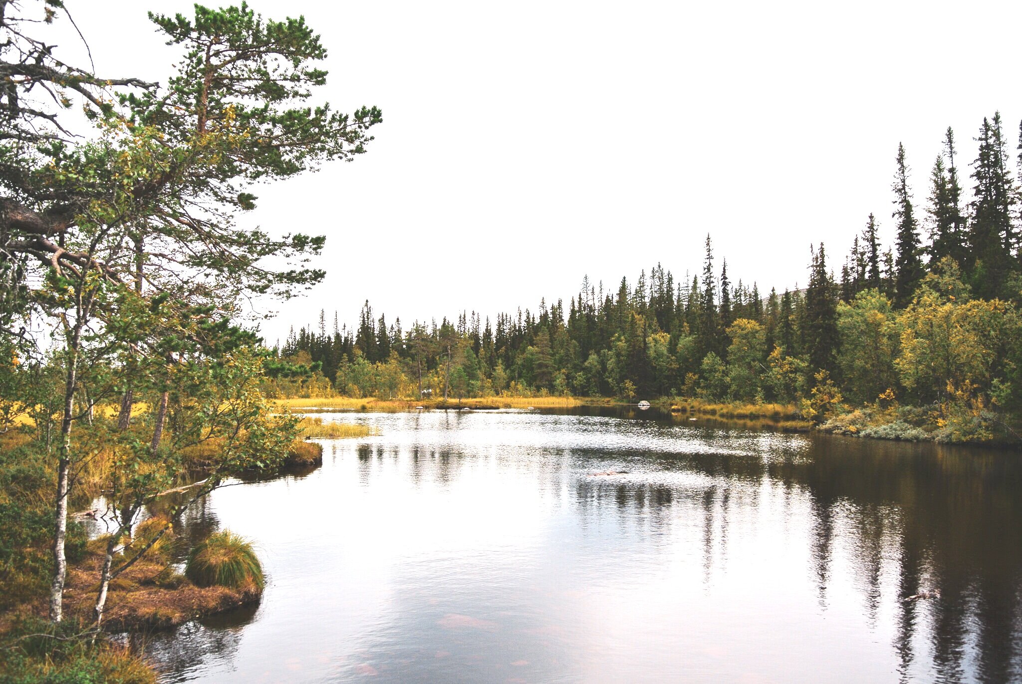 Fulufjällets nationalpark: tips på vandringar, stugor och sevärdheter_2