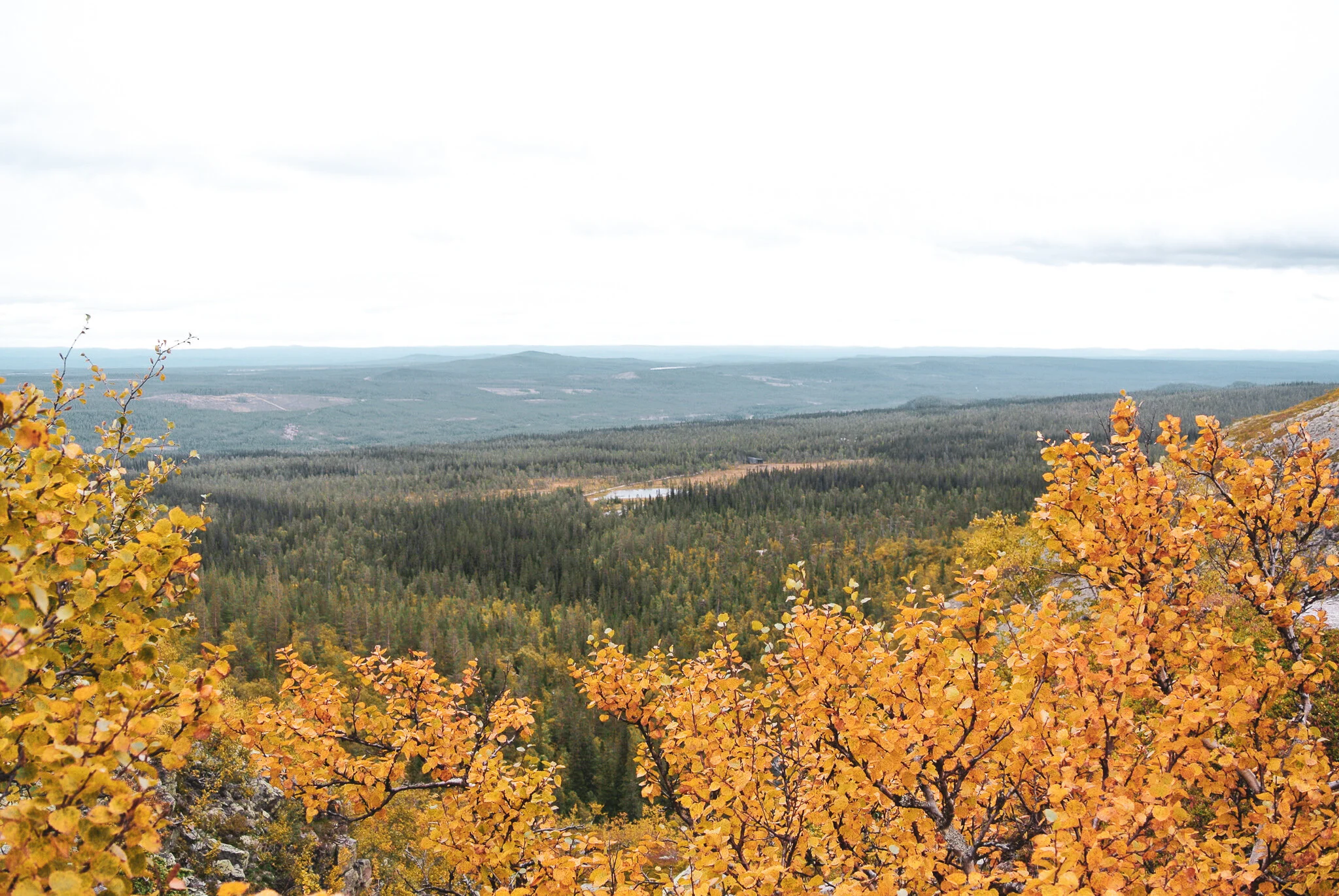 fulufjället-2.jpg